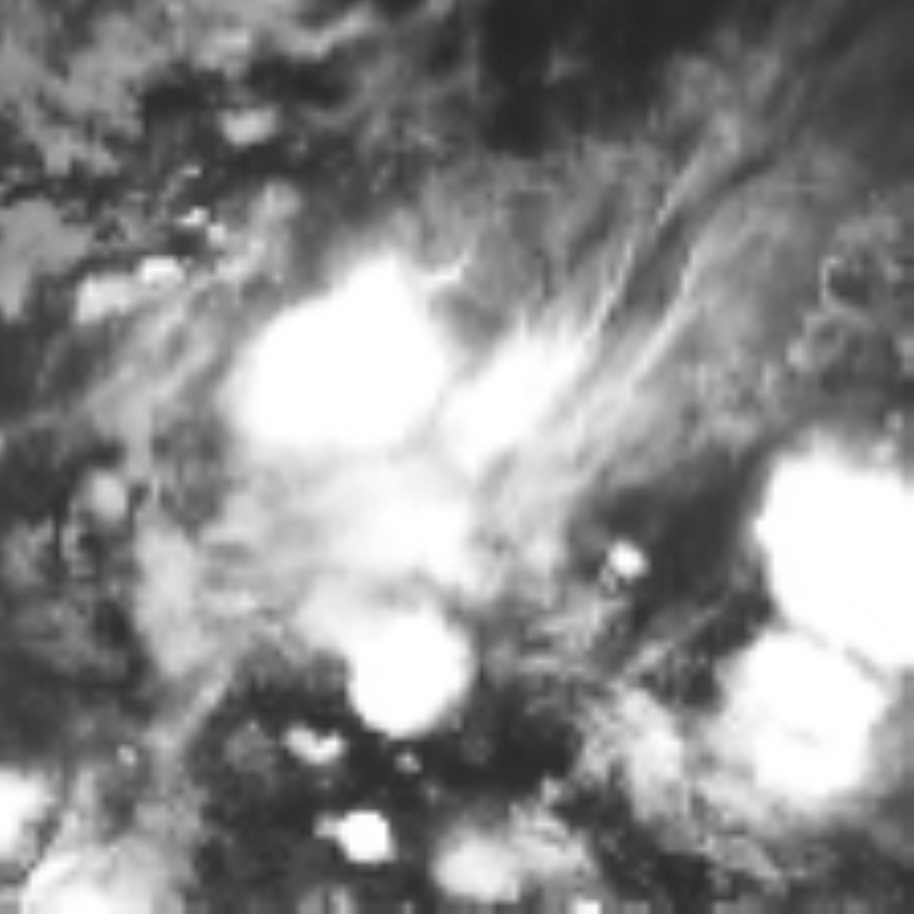satLayer