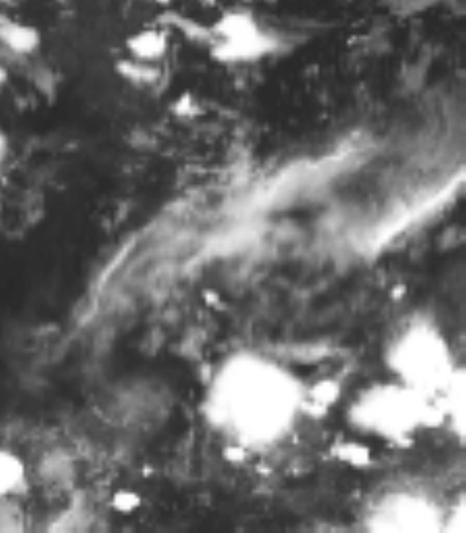 satLayer