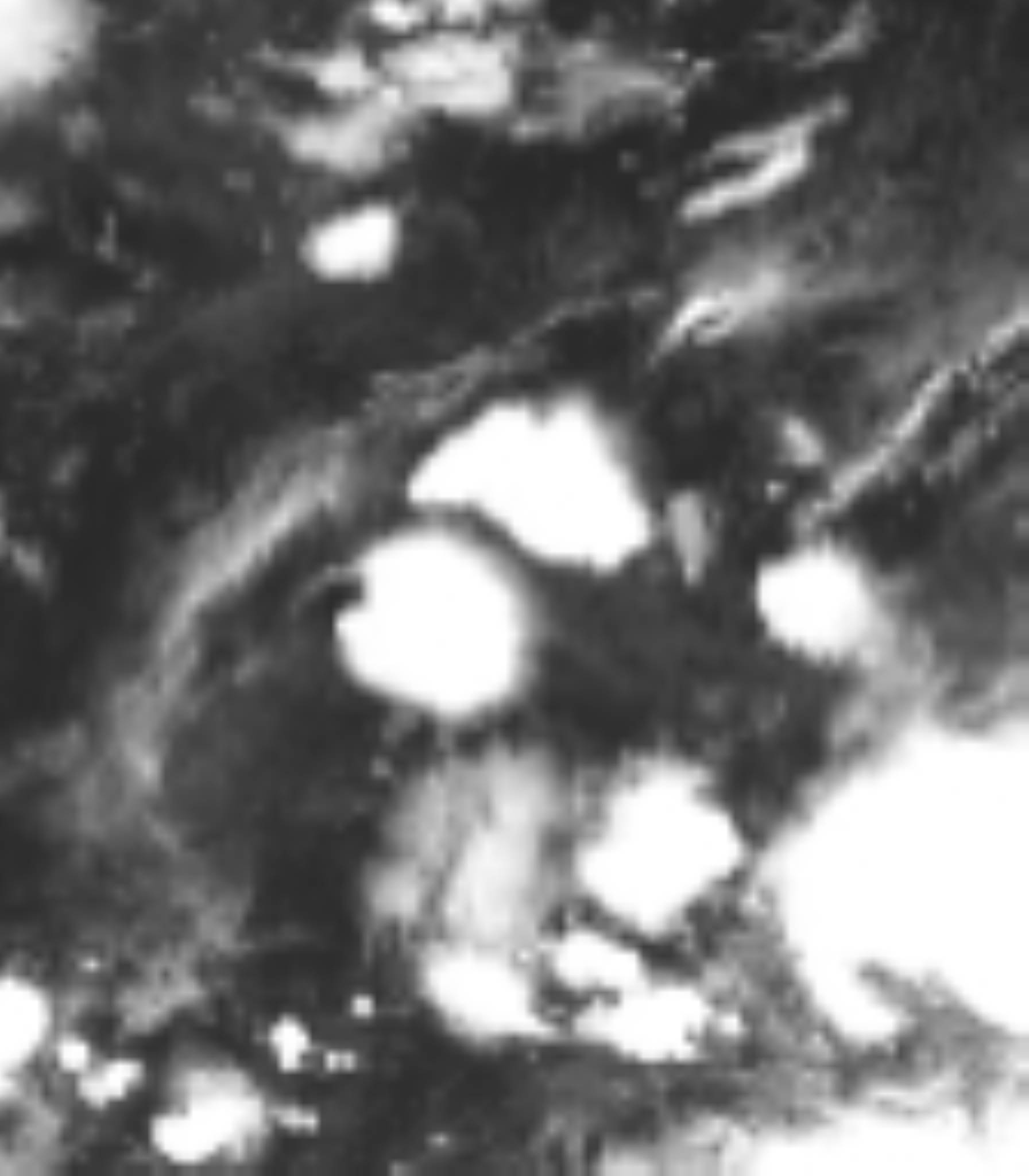 satLayer