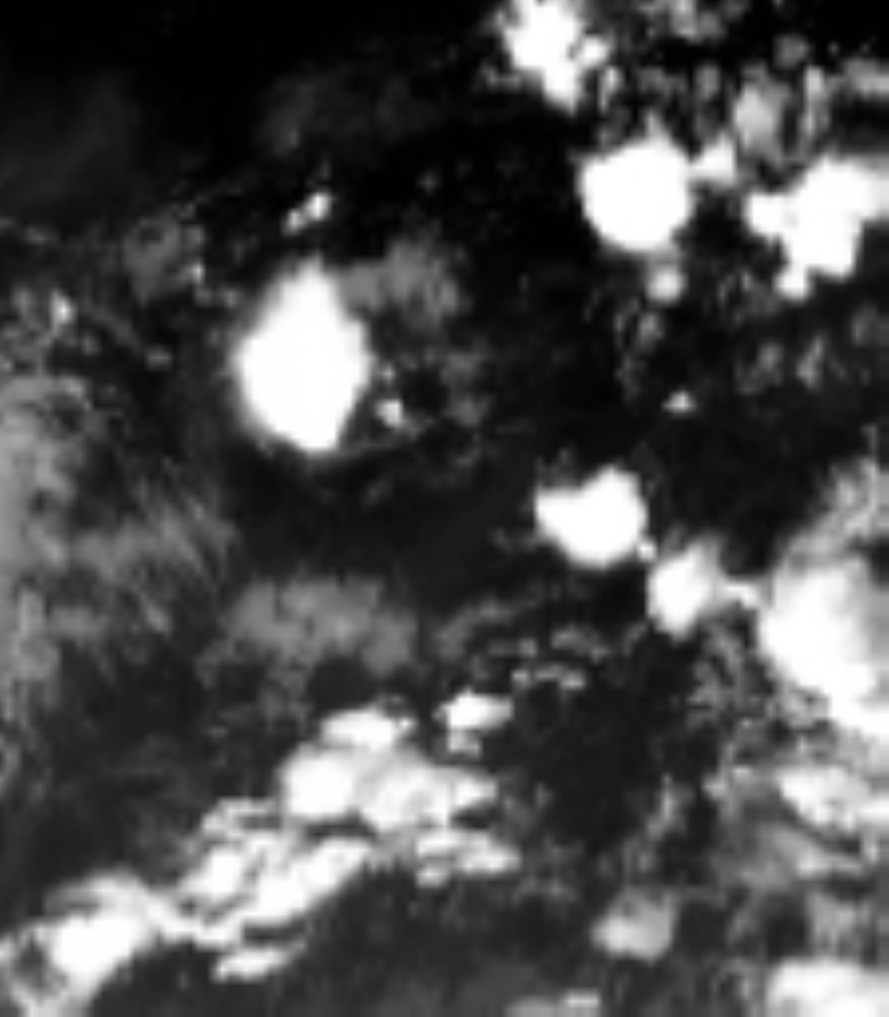 satLayer