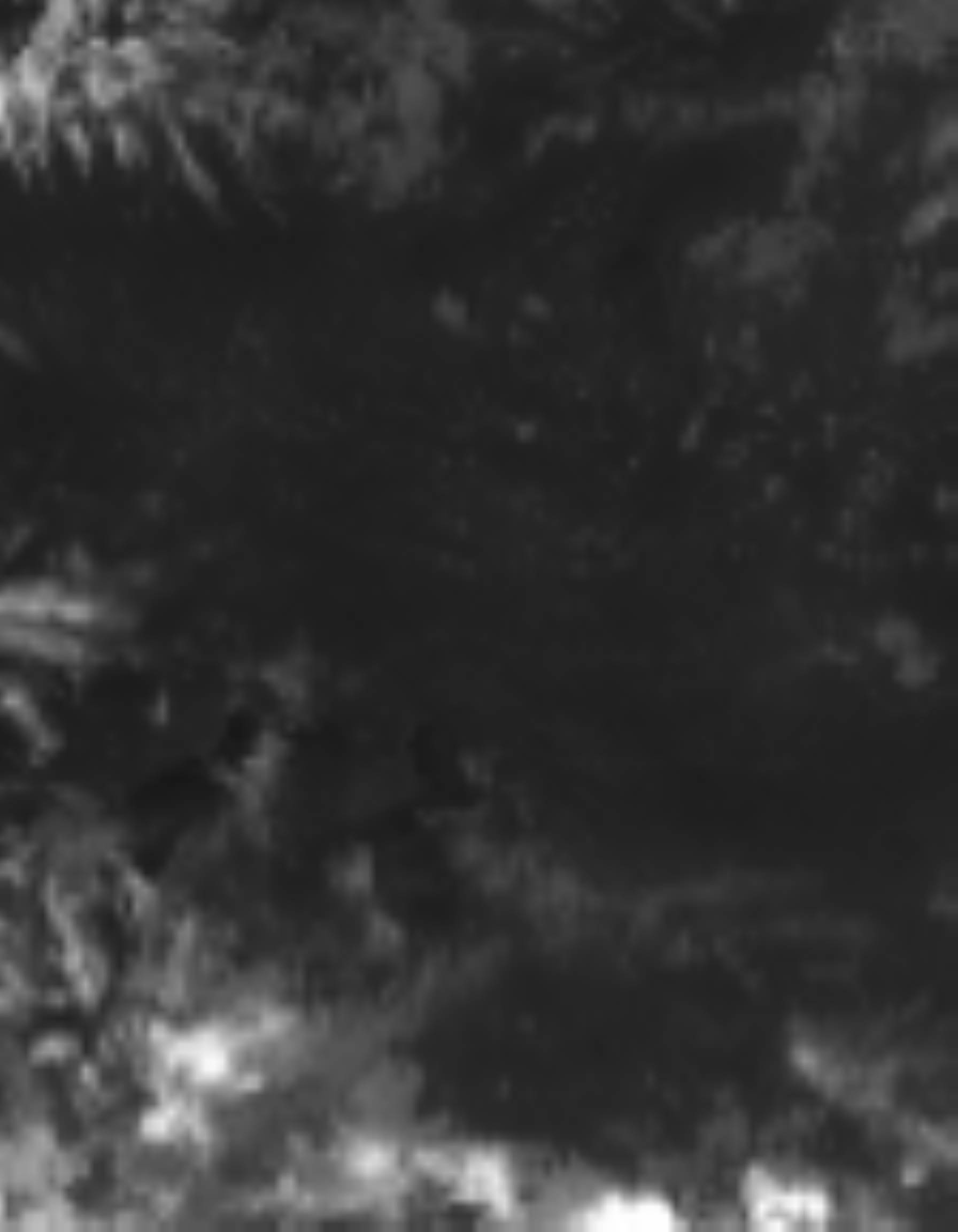 satLayer