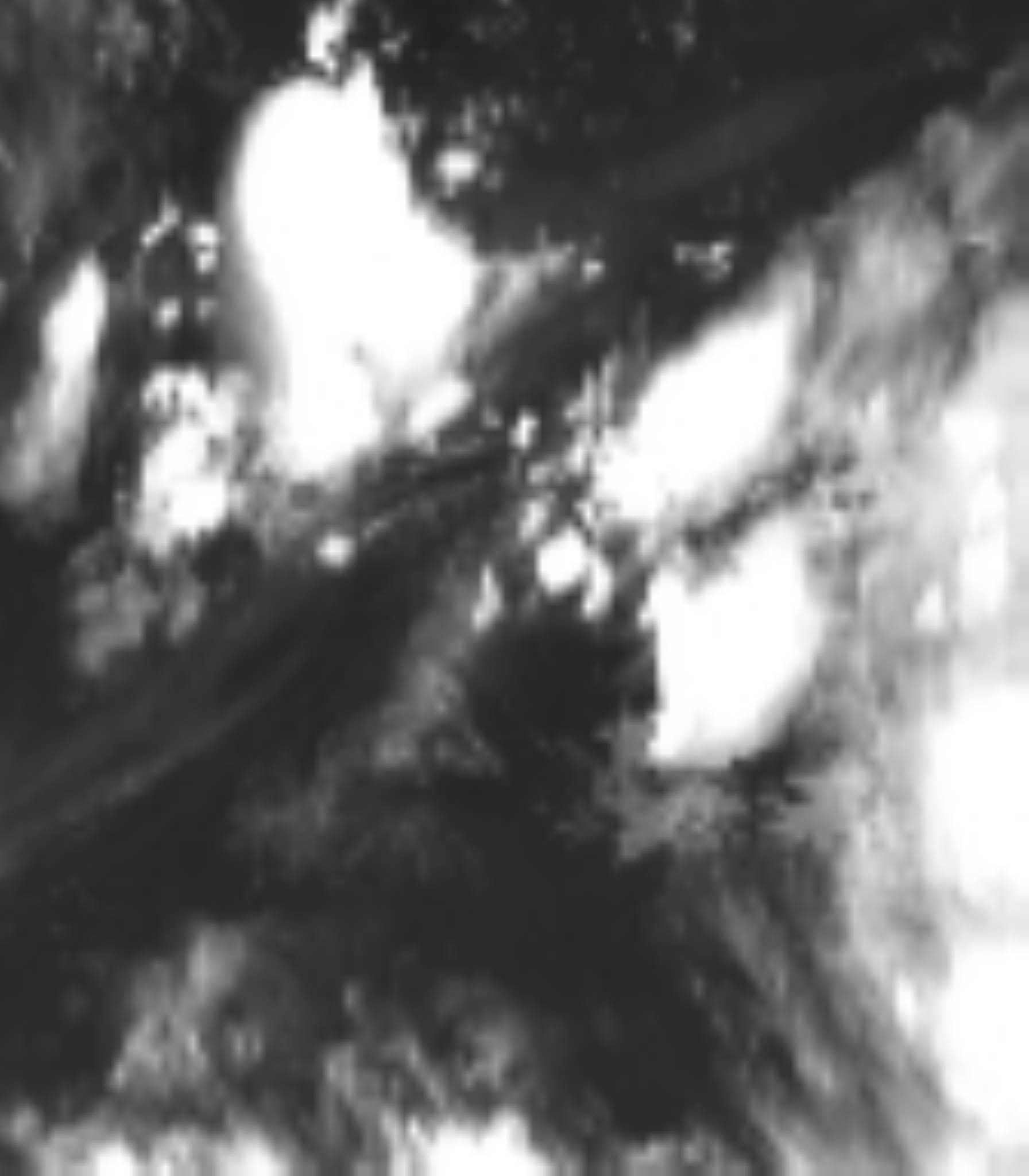 satLayer