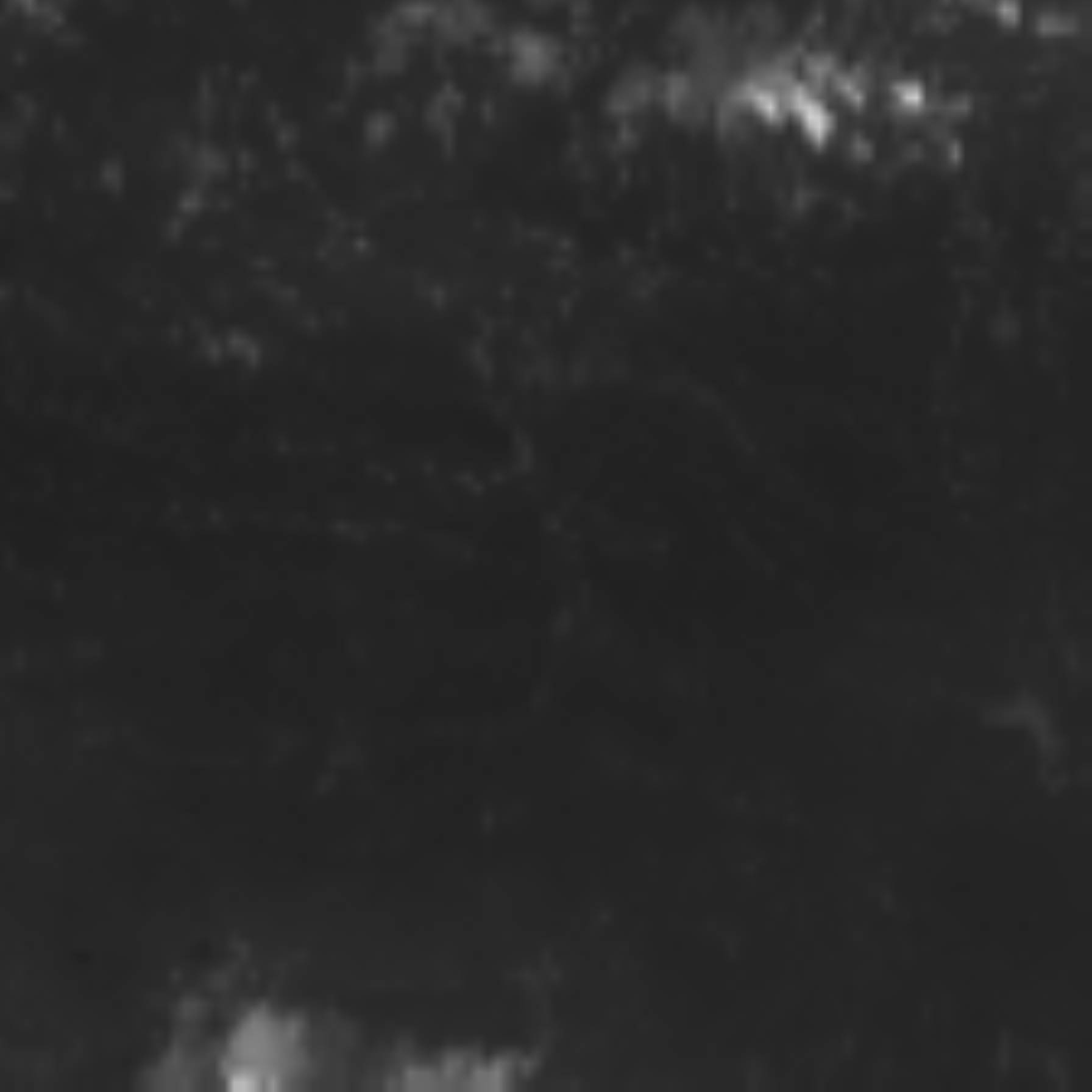 satLayer
