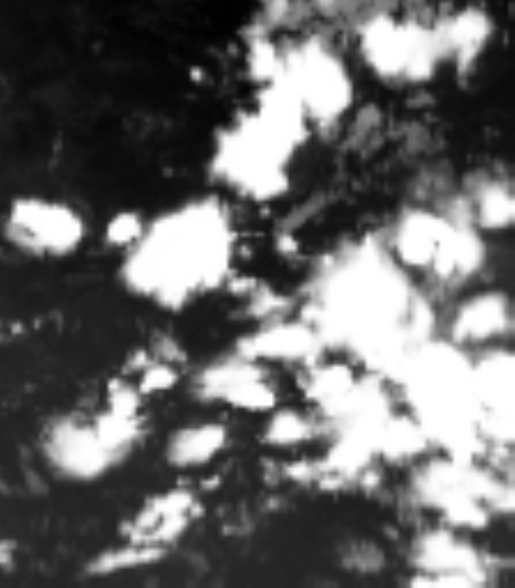 satLayer