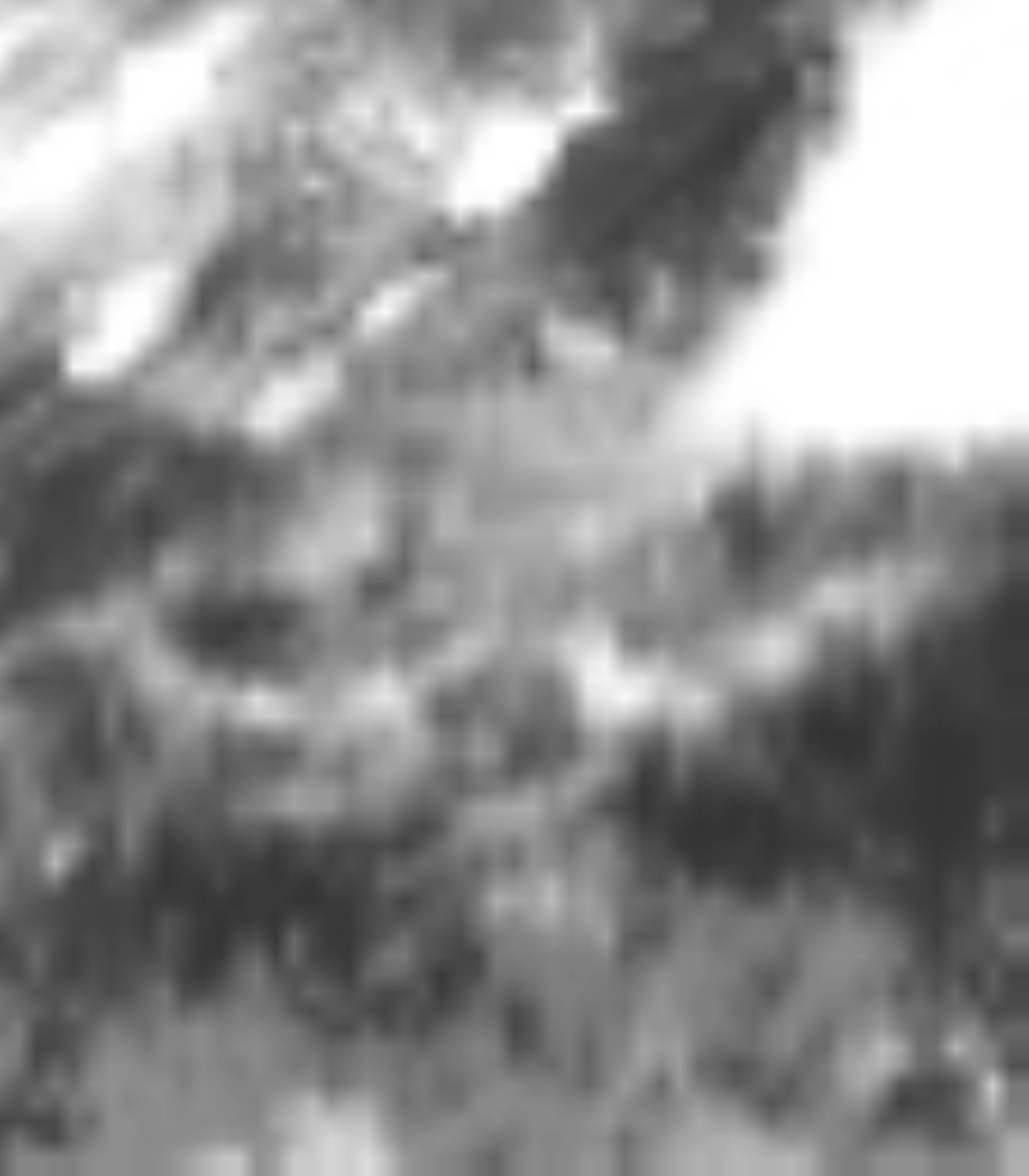 satLayer