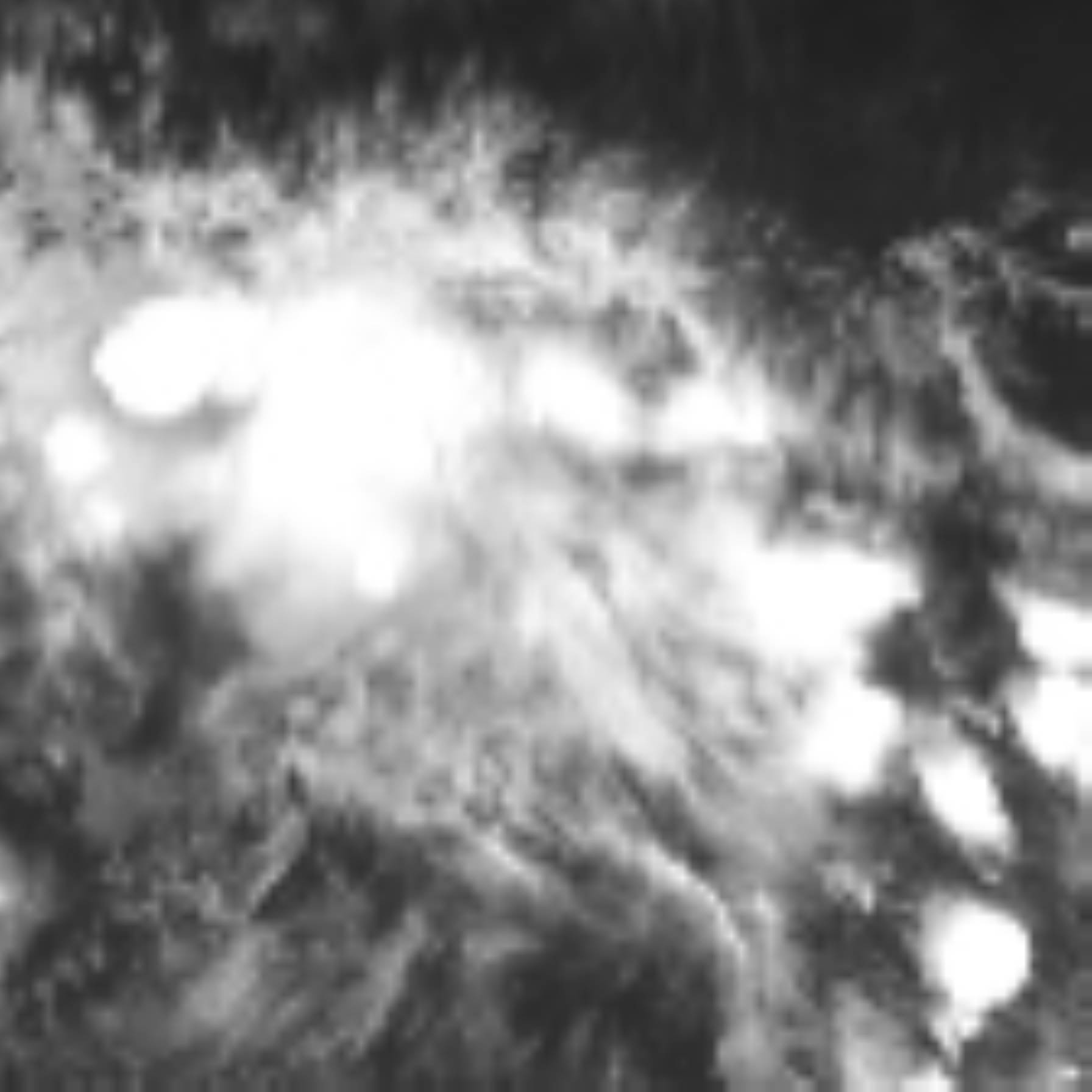 satLayer