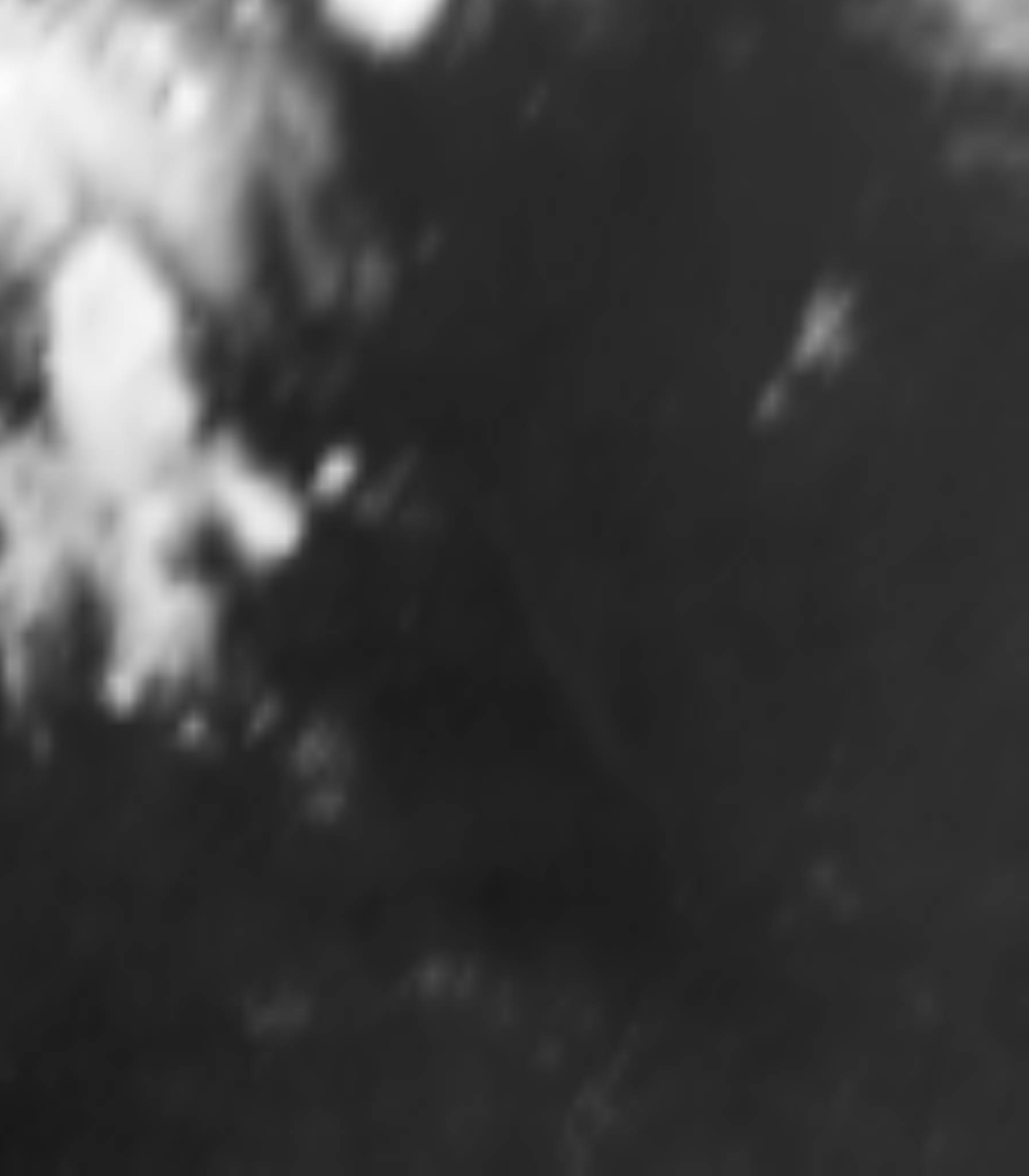 satLayer