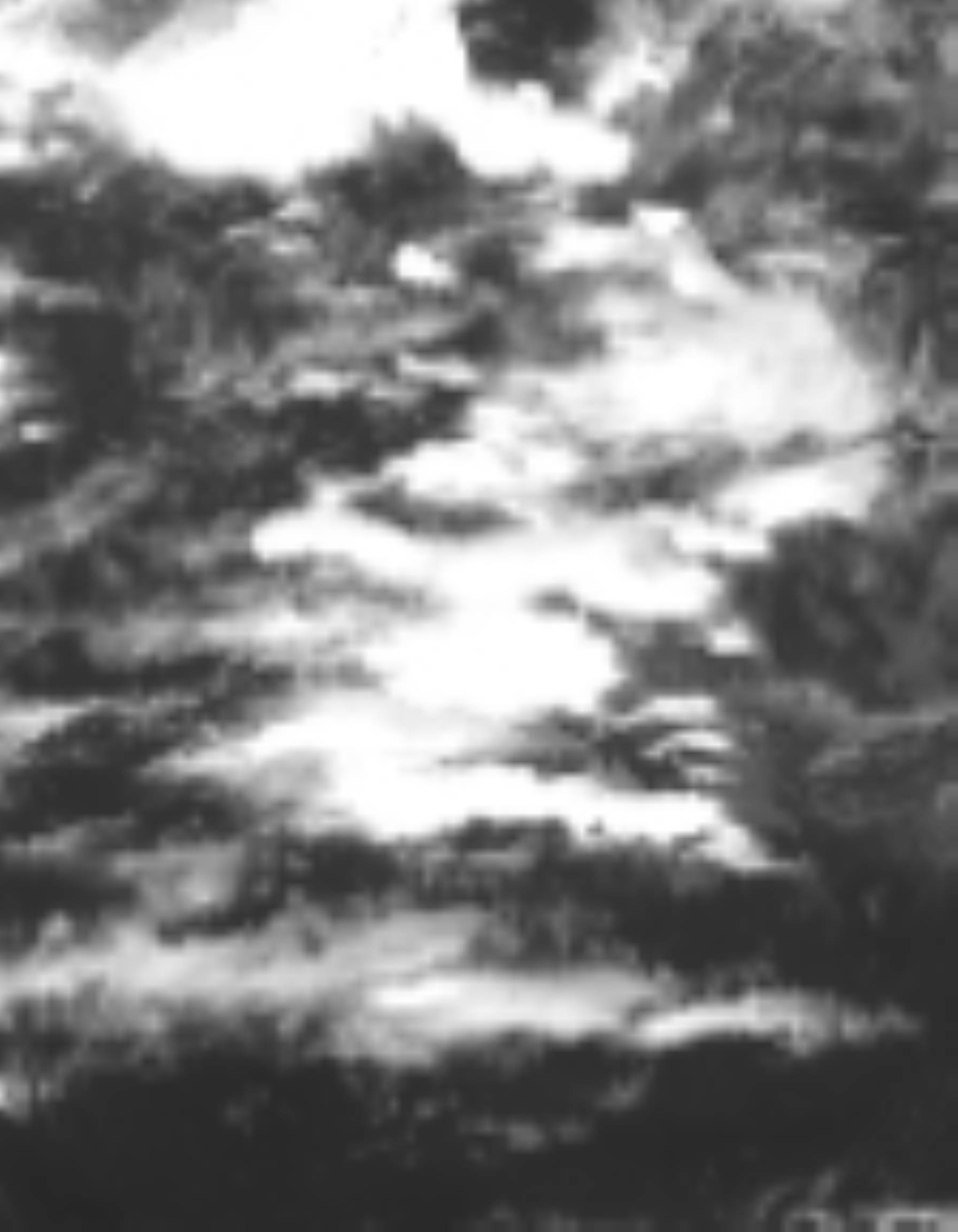 satLayer