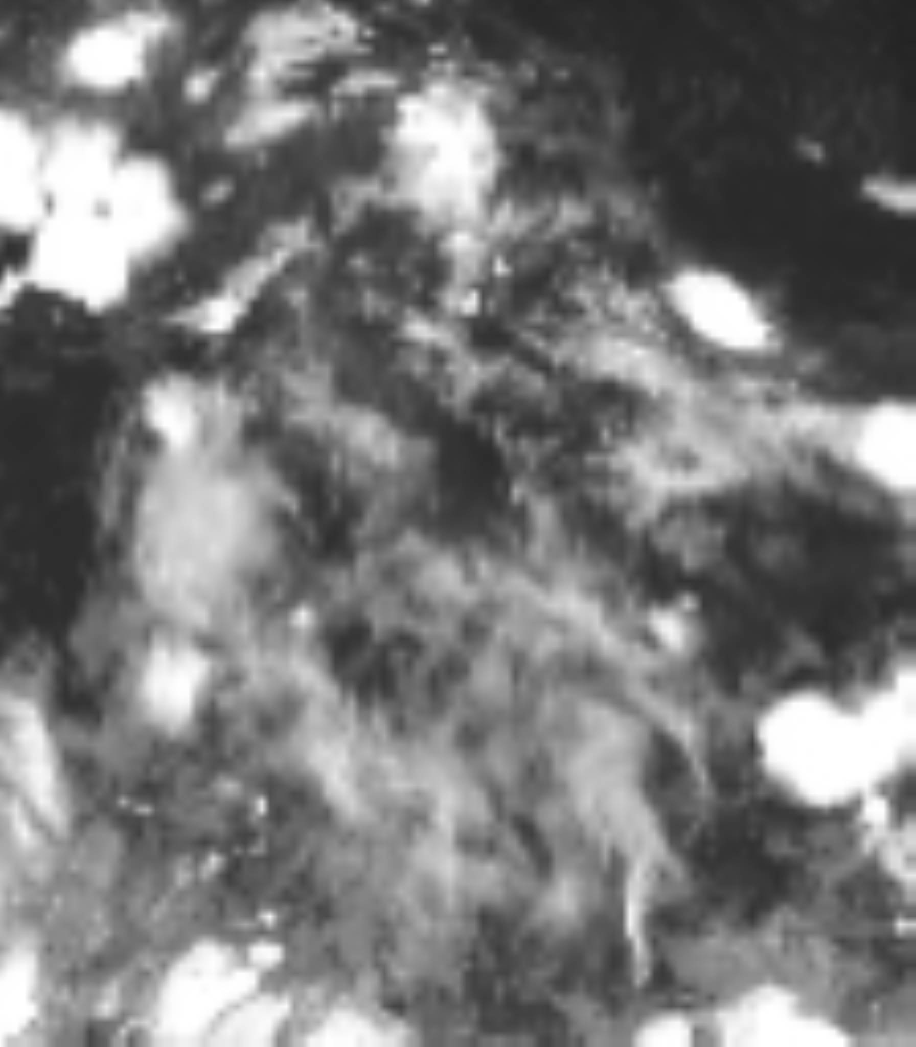 satLayer