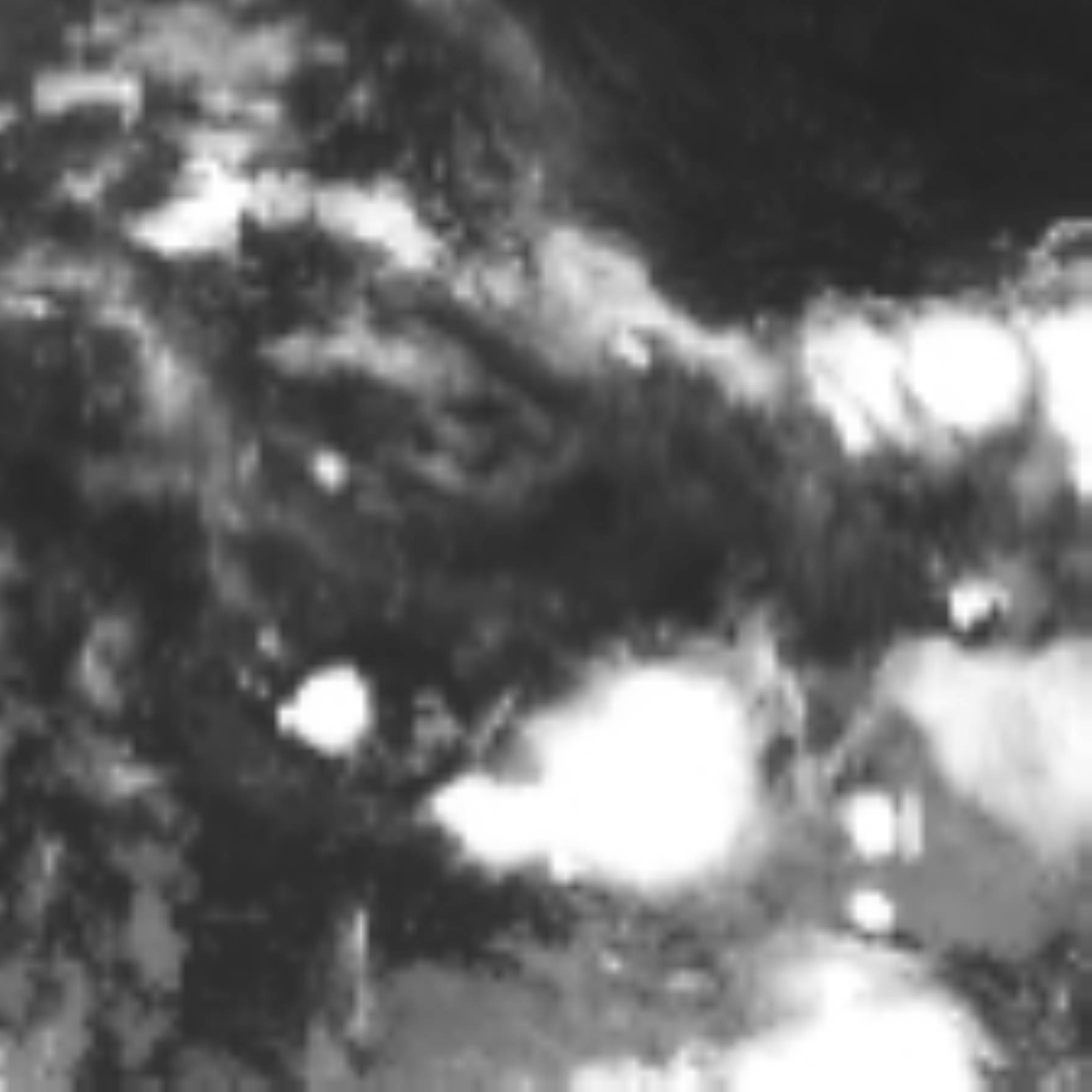 satLayer