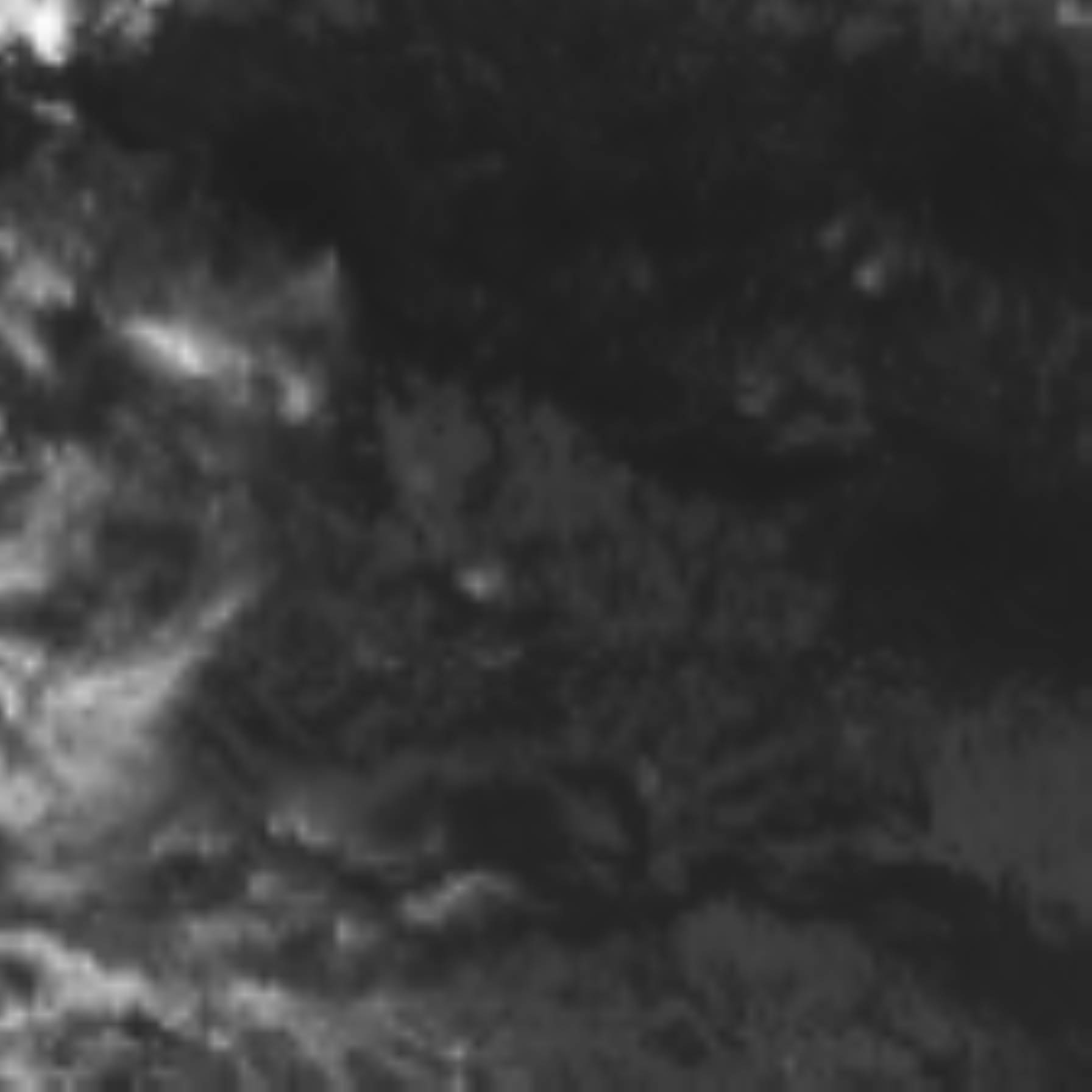 satLayer