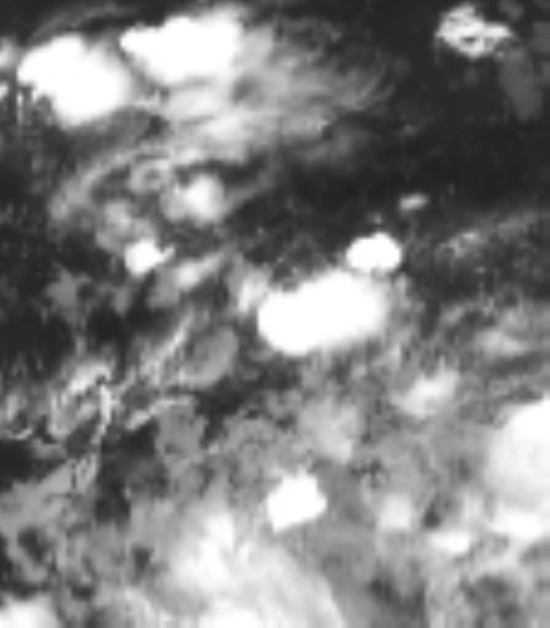 satLayer