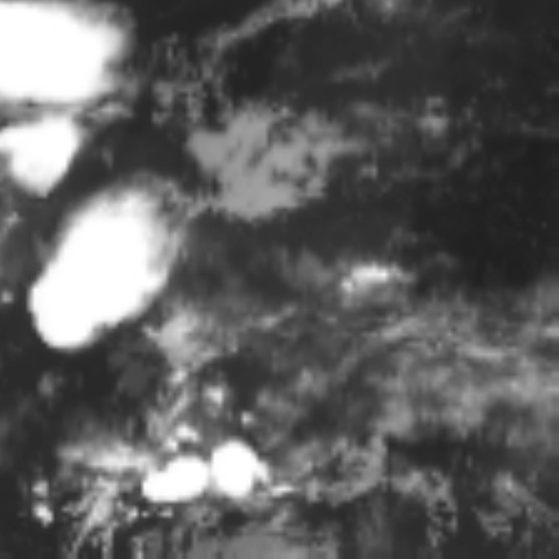 satLayer