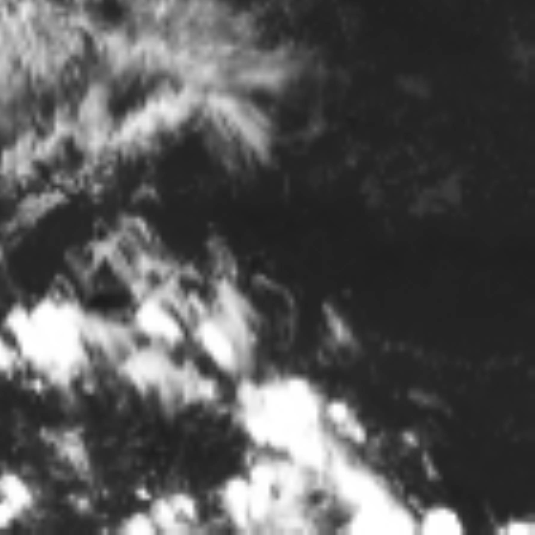 satLayer