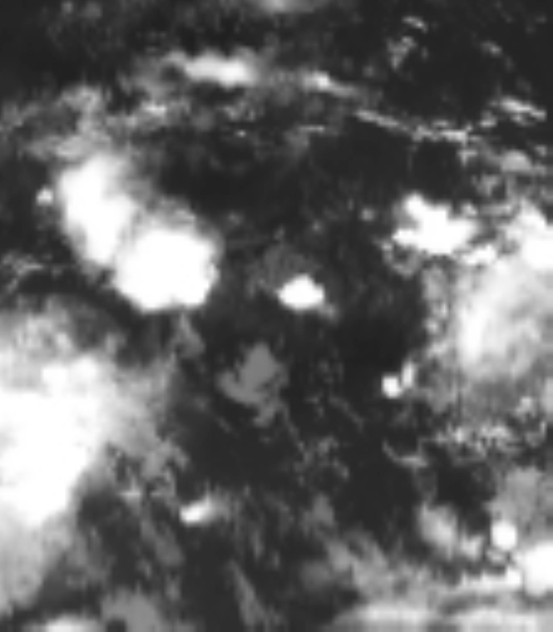 satLayer