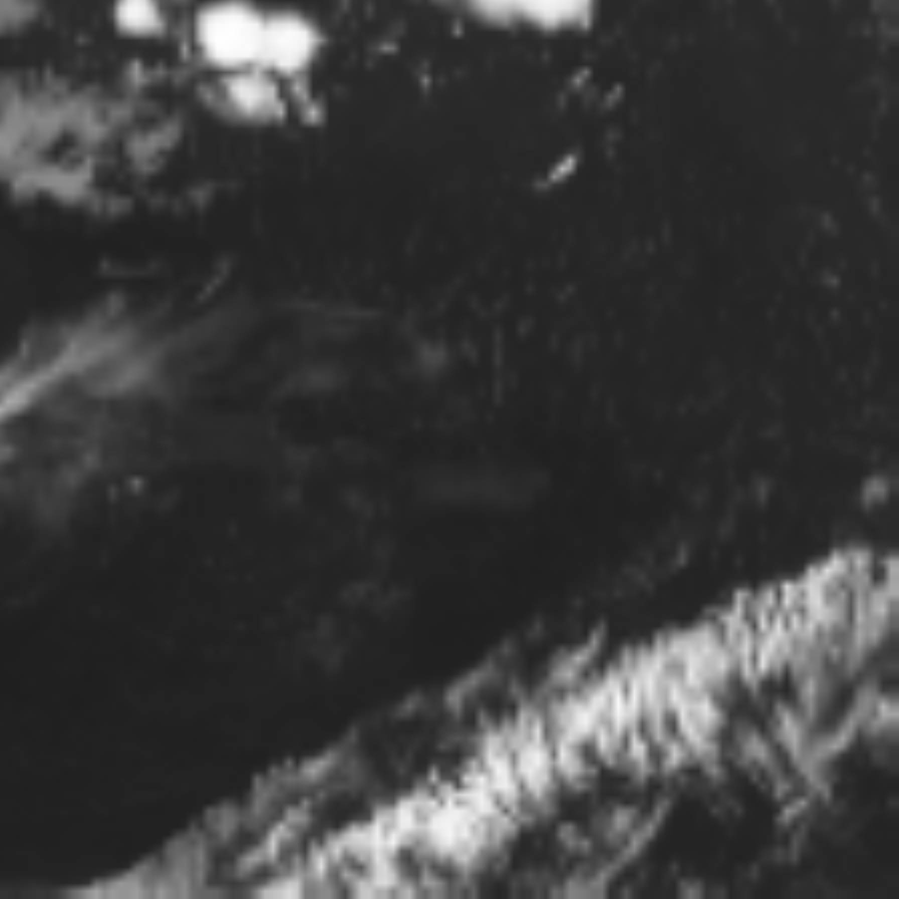 satLayer