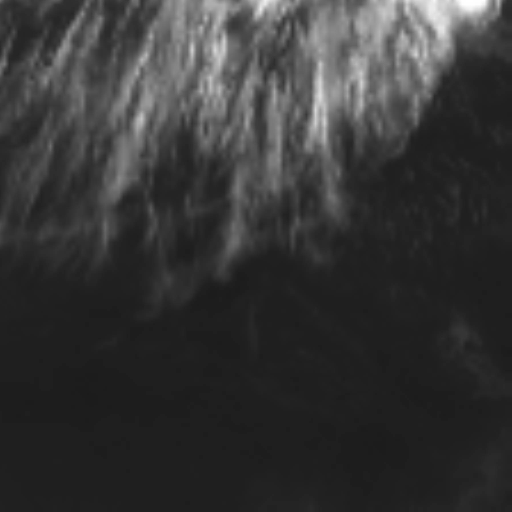 satLayer