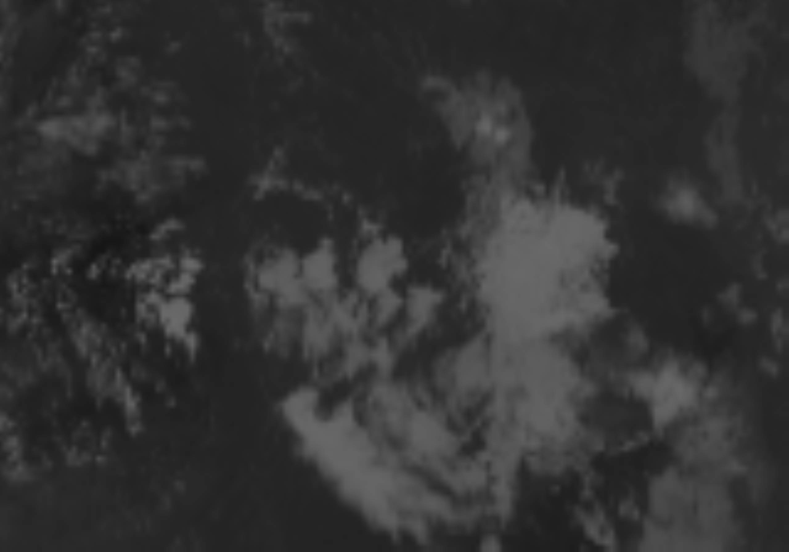 satLayer