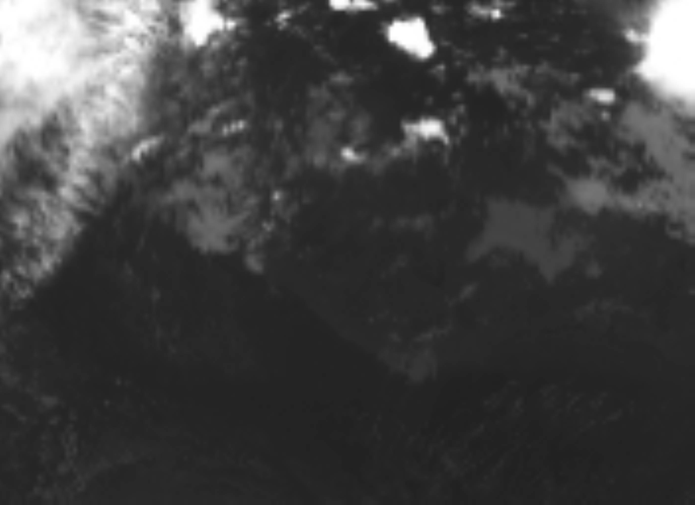 satLayer