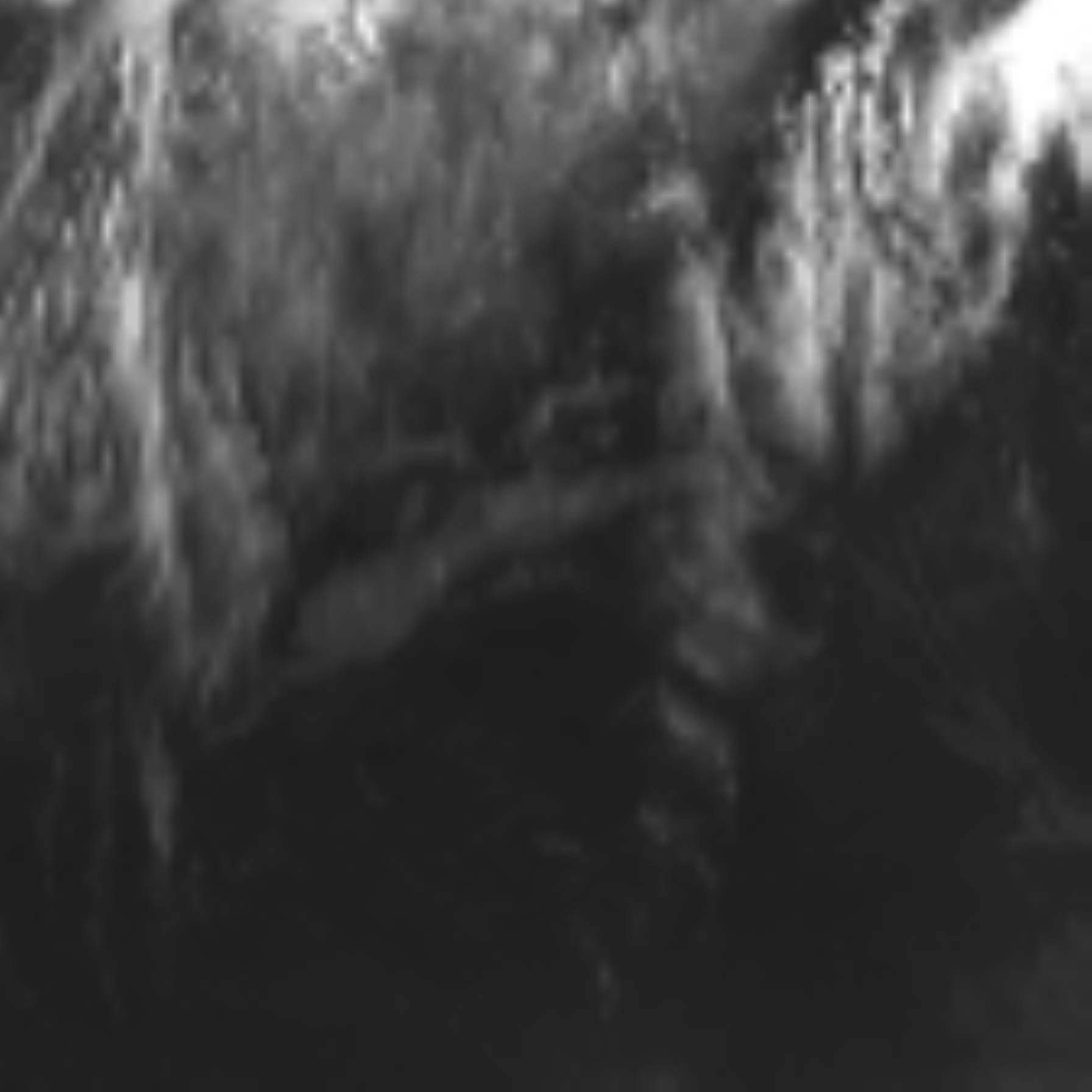 satLayer