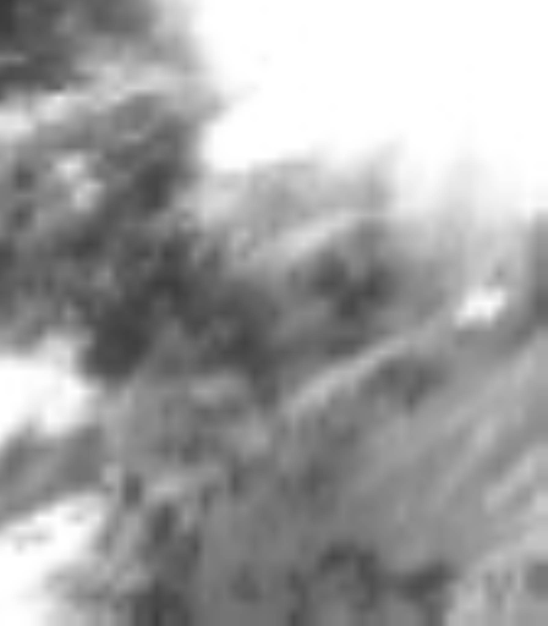 satLayer