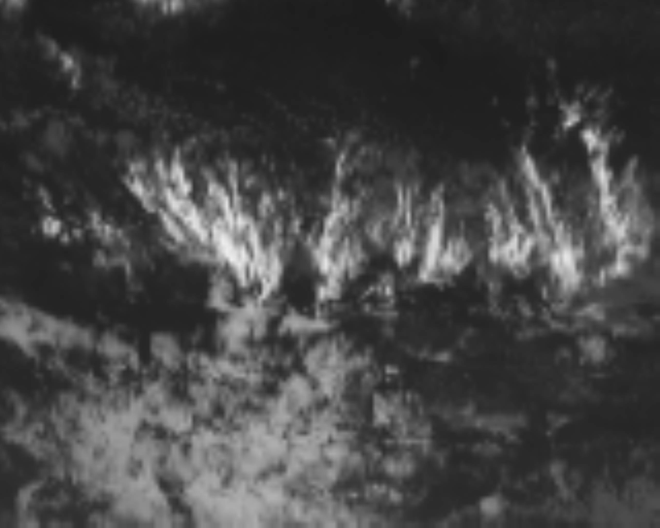 satLayer