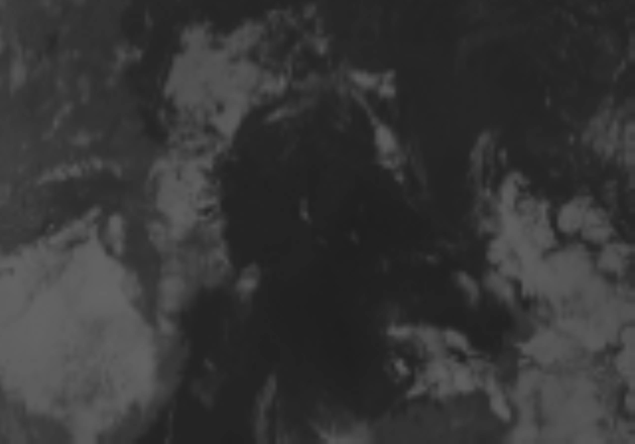 satLayer