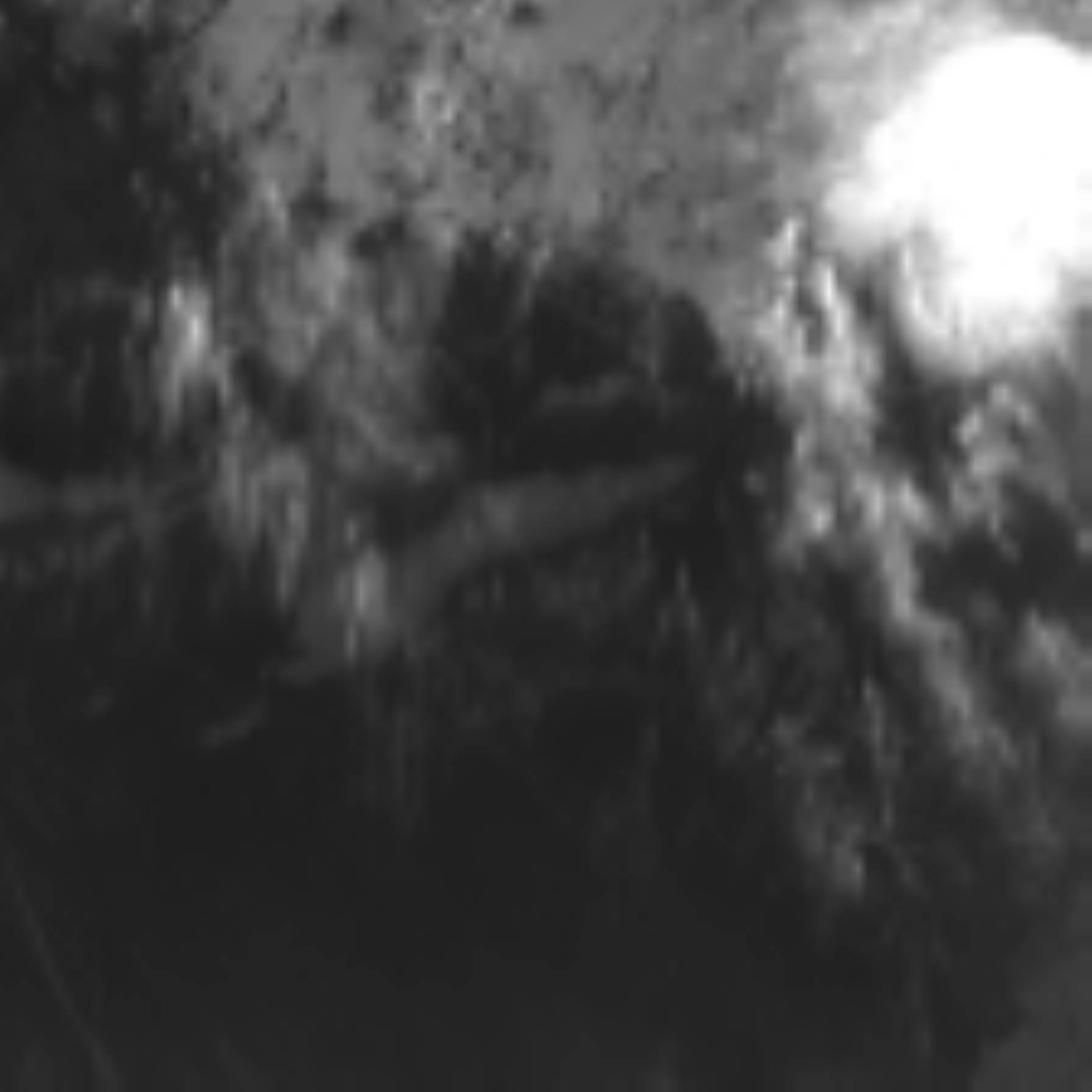satLayer