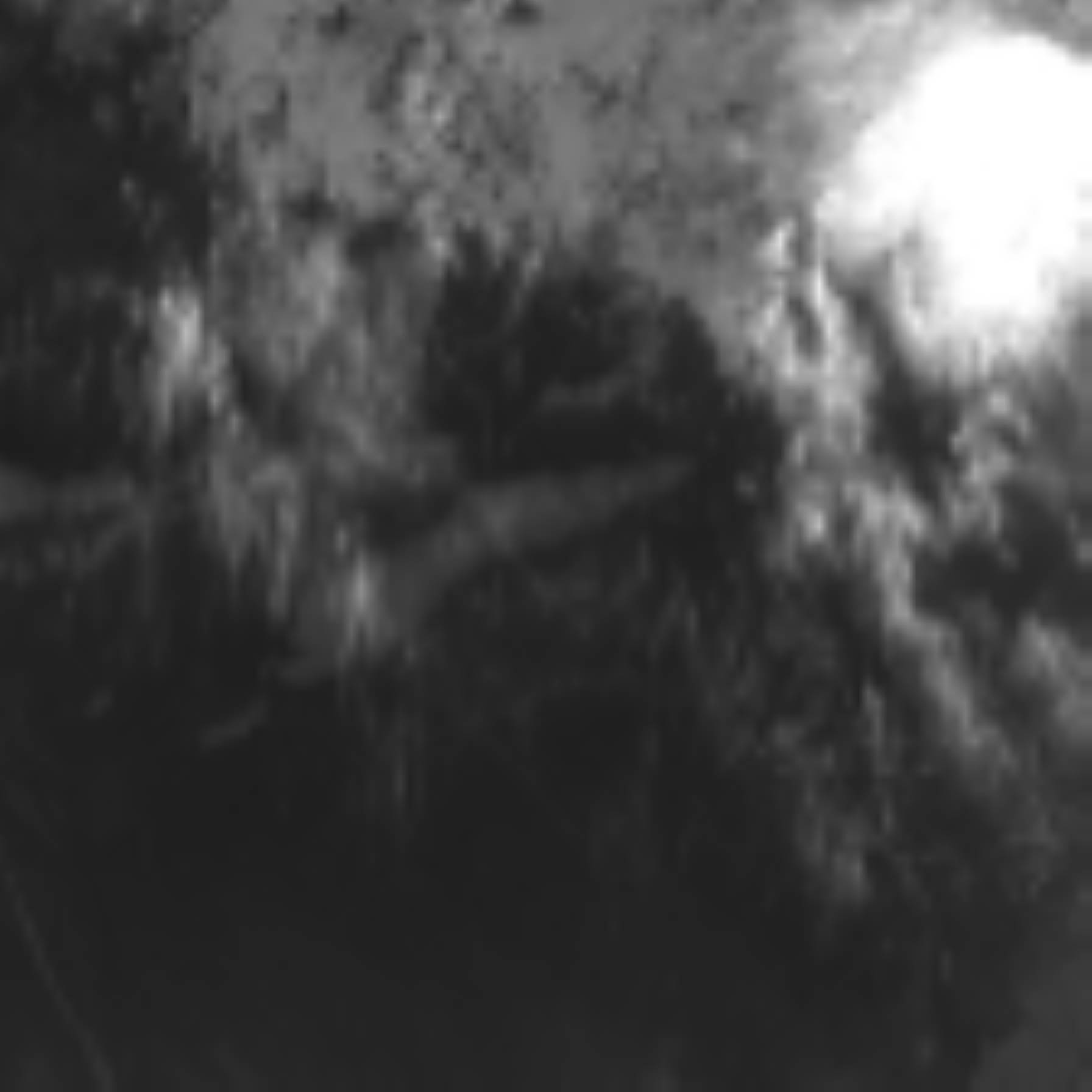 satLayer