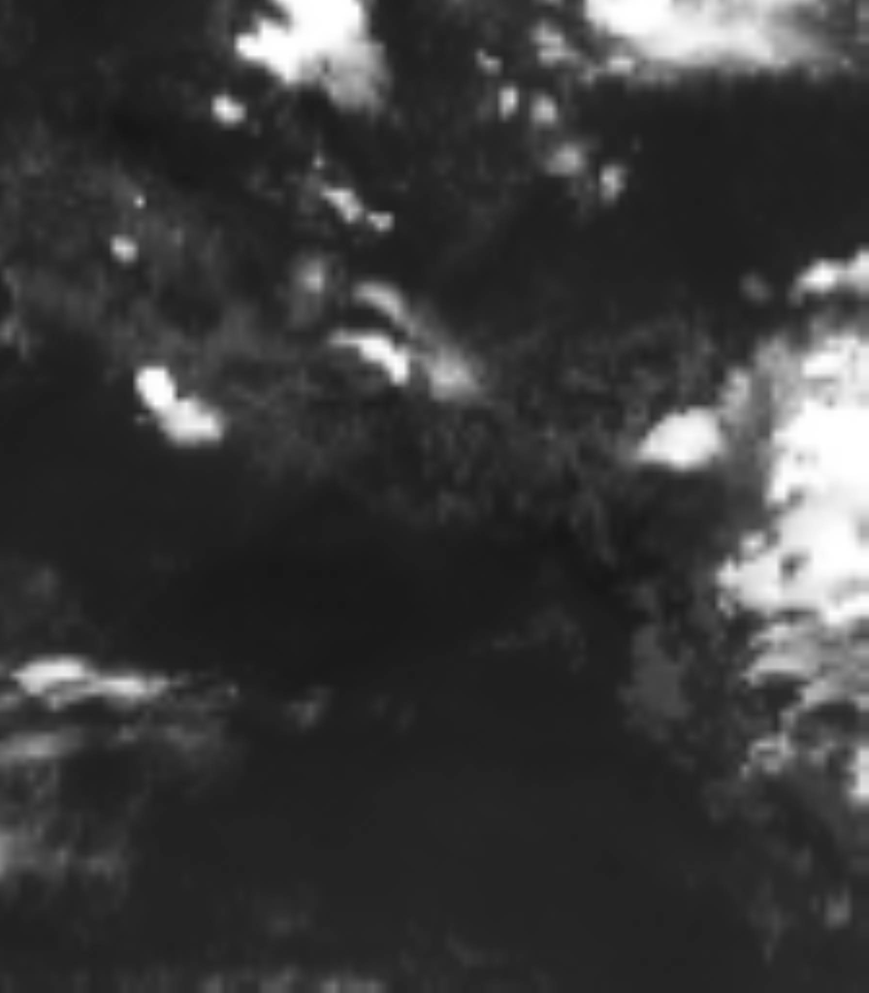 satLayer