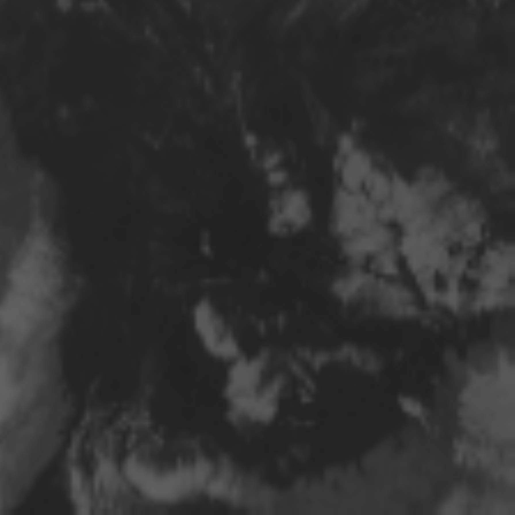 satLayer
