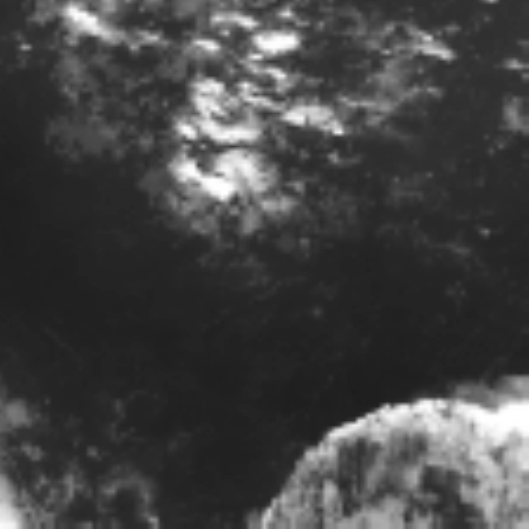 satLayer
