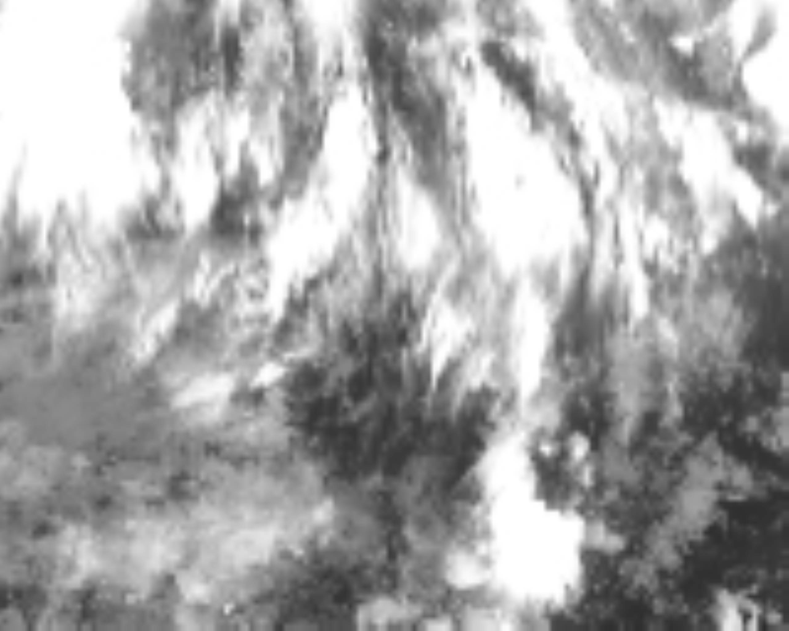 satLayer