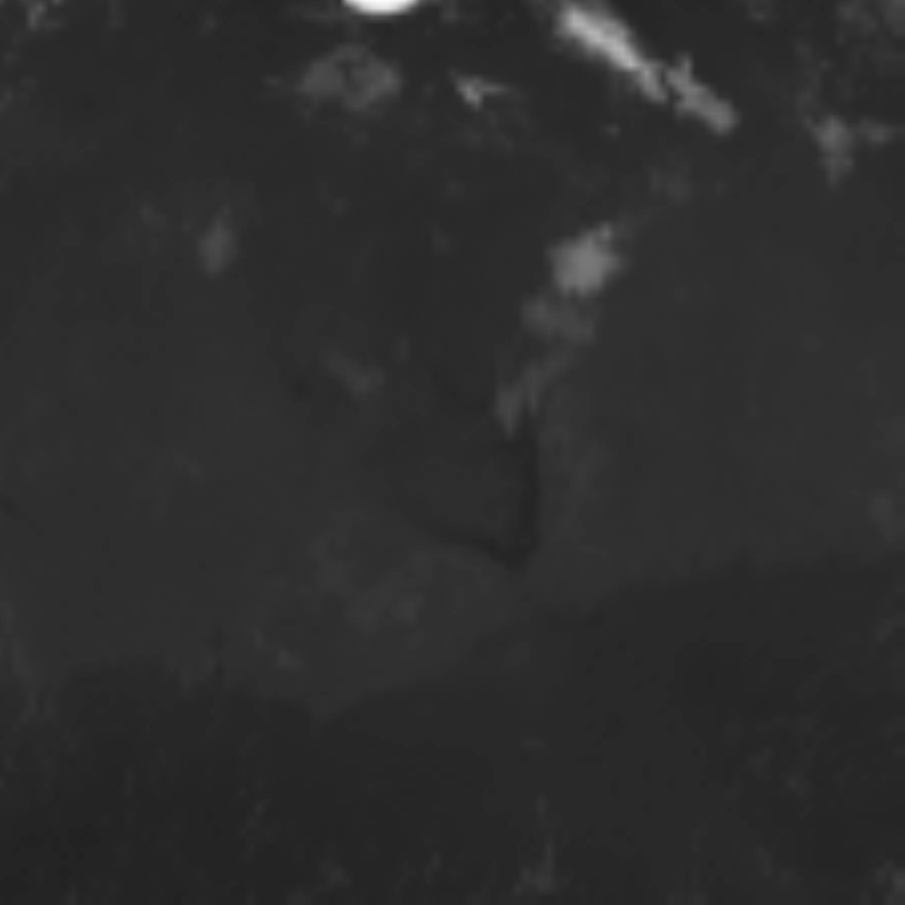 satLayer