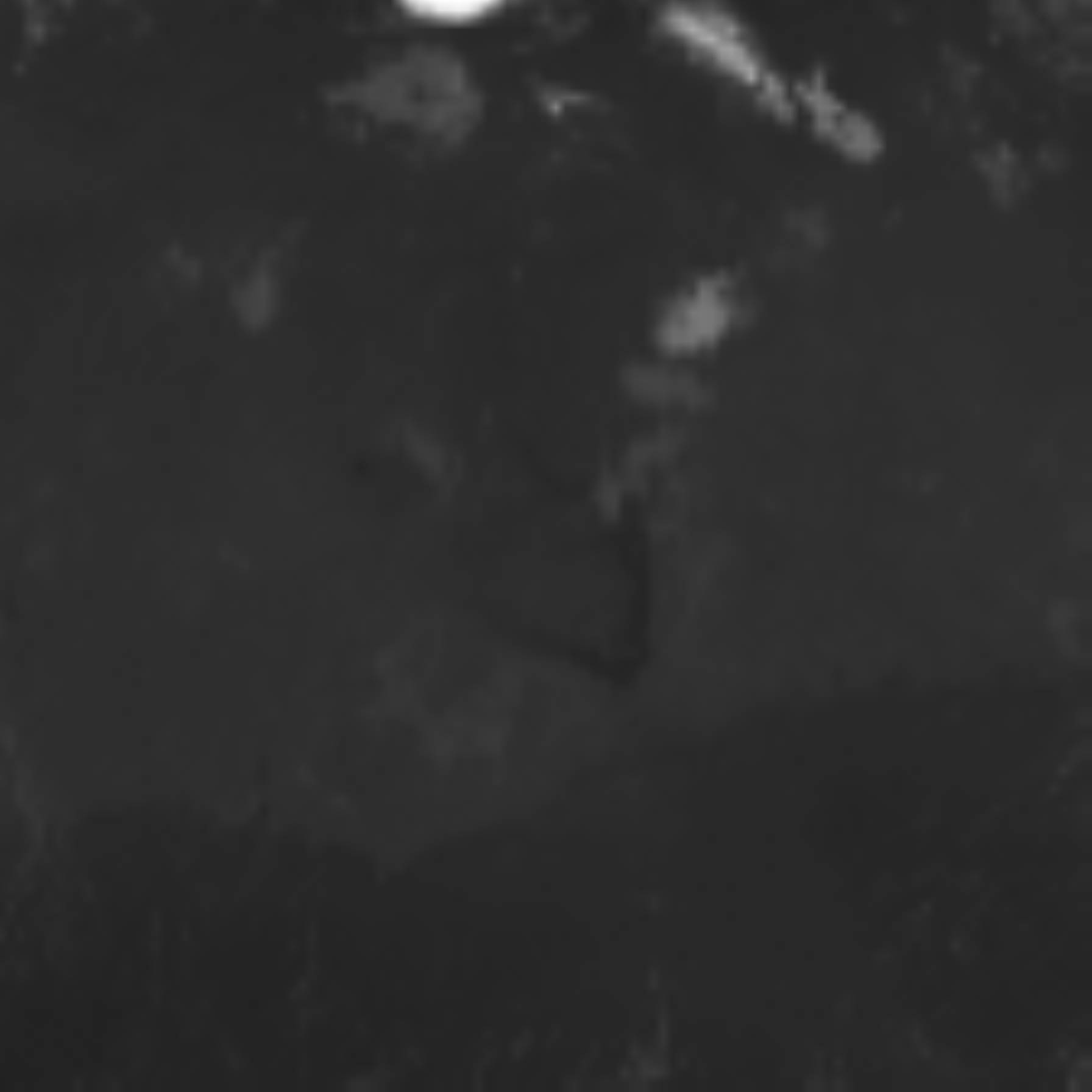 satLayer