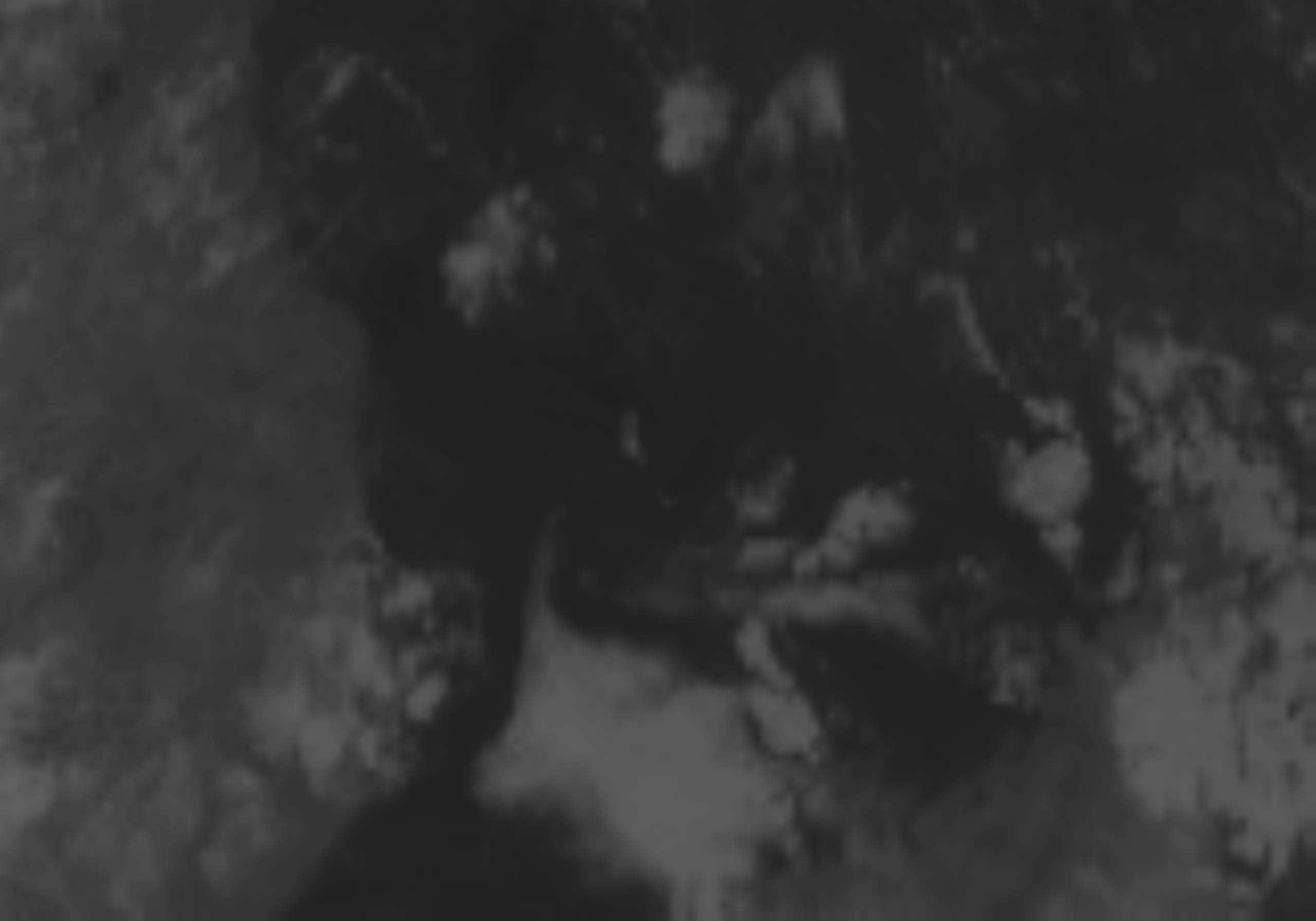 satLayer