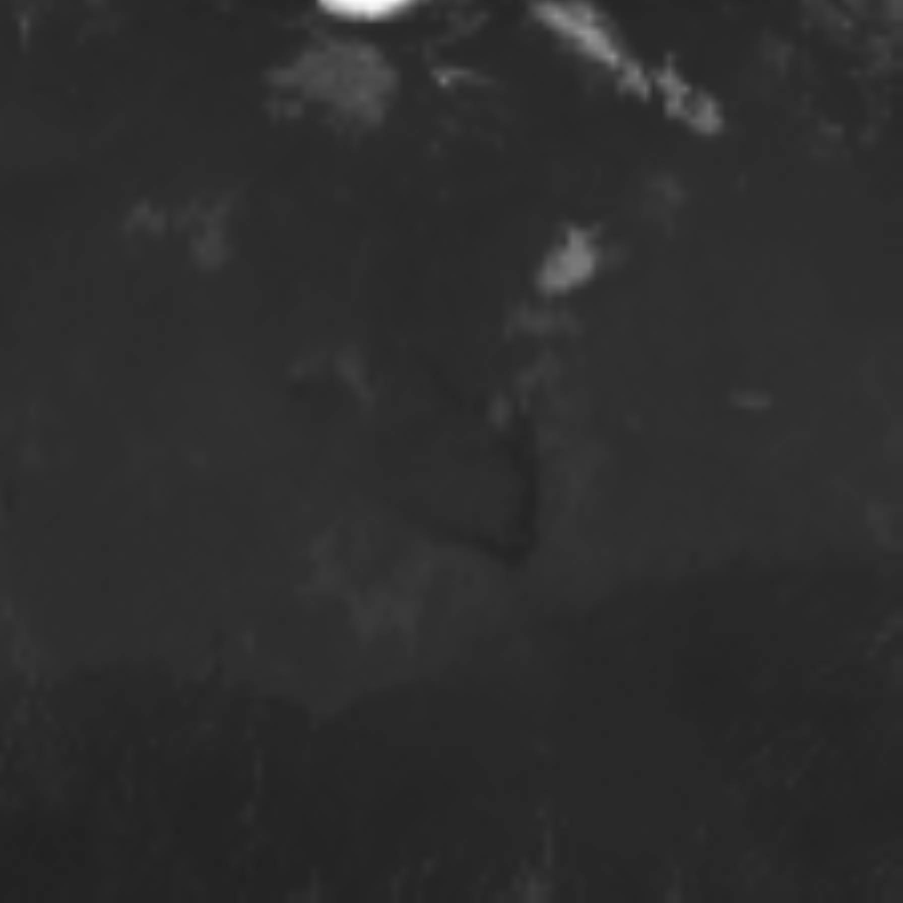 satLayer