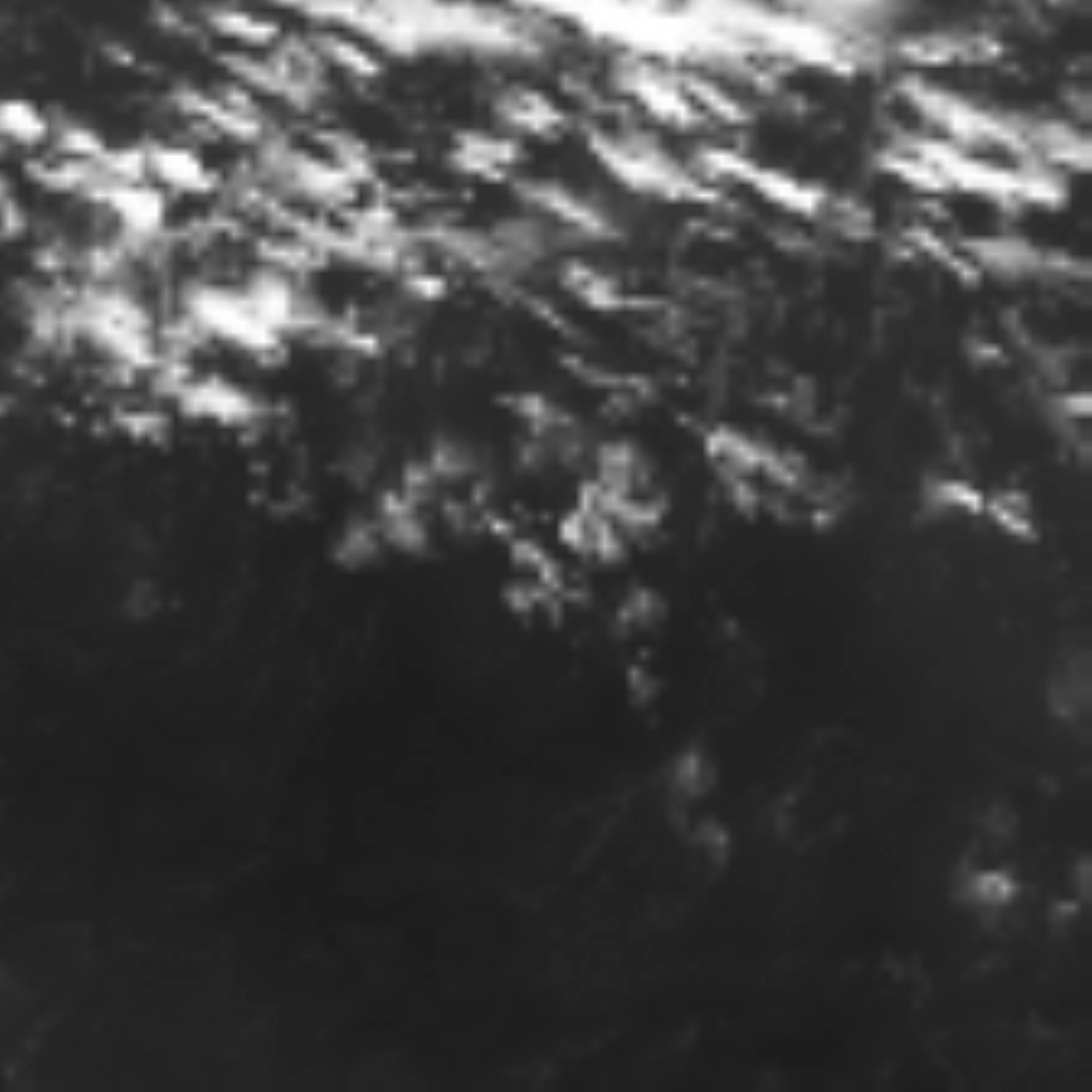 satLayer