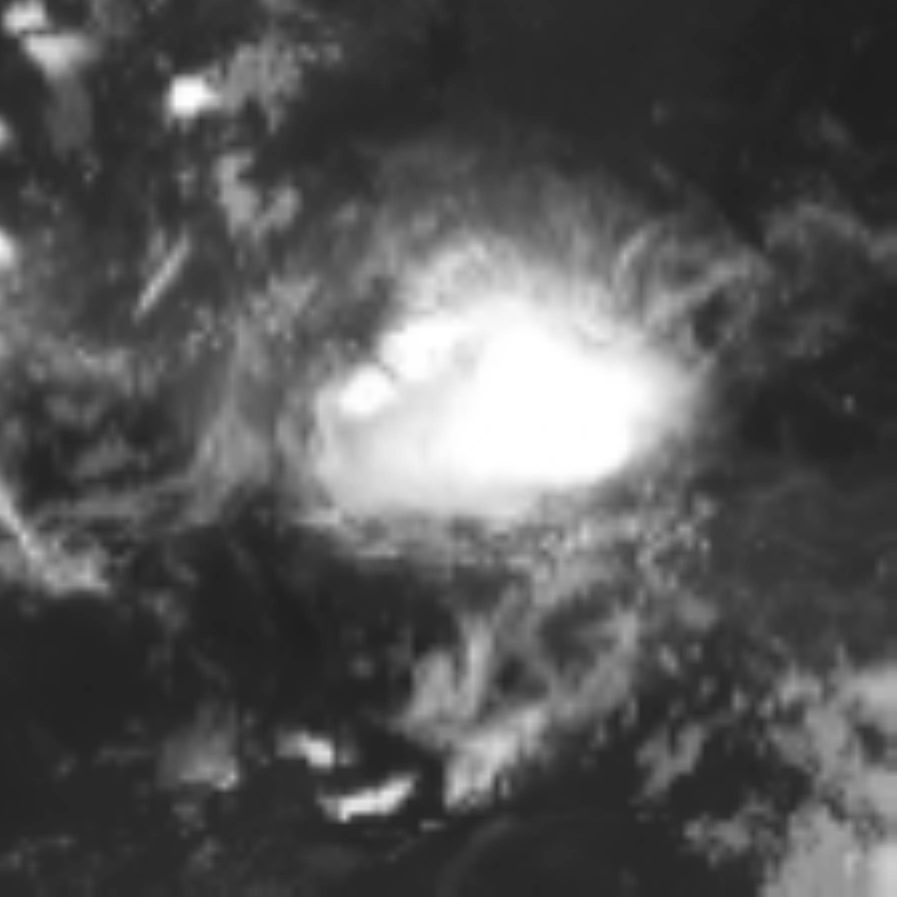 satLayer