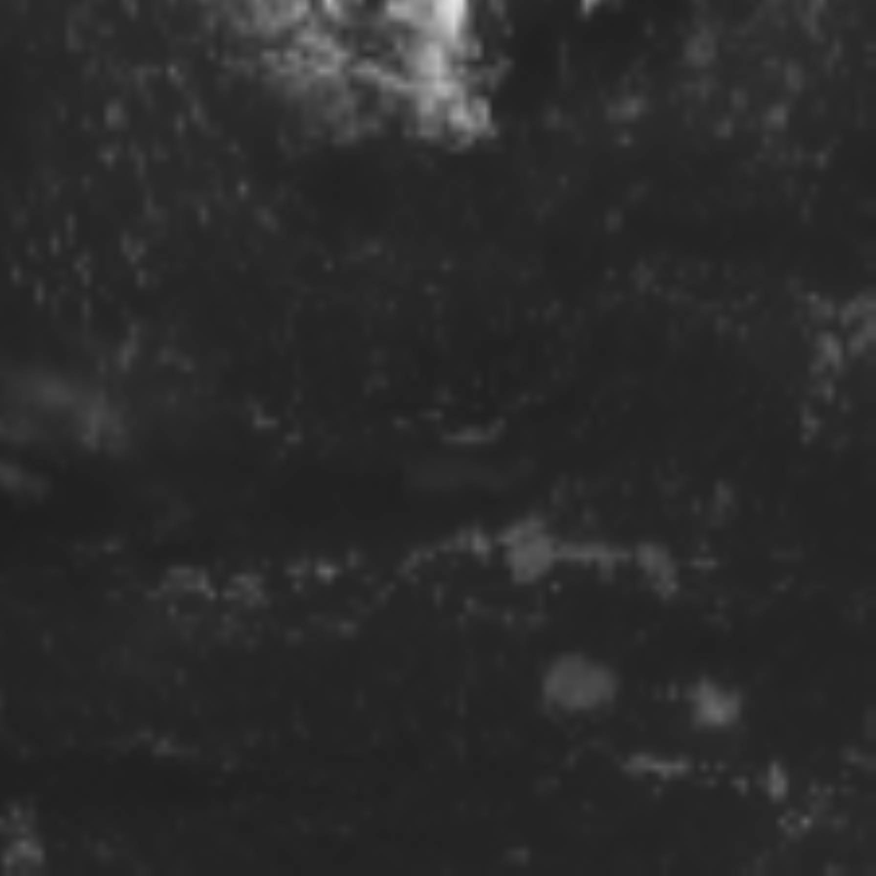 satLayer