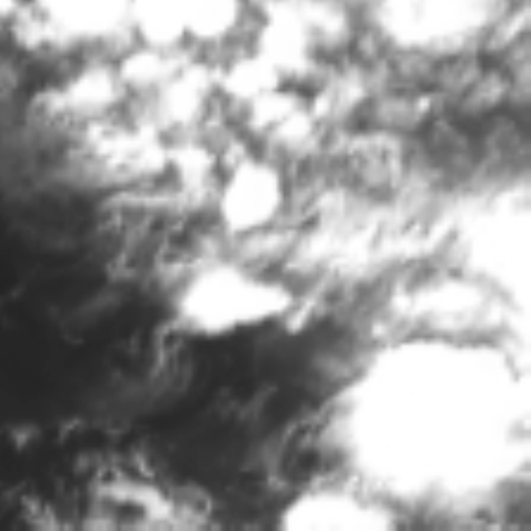 satLayer