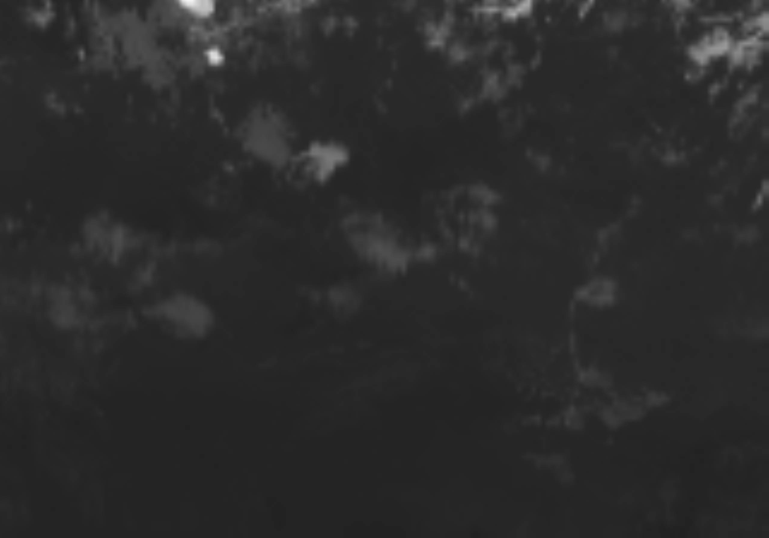 satLayer