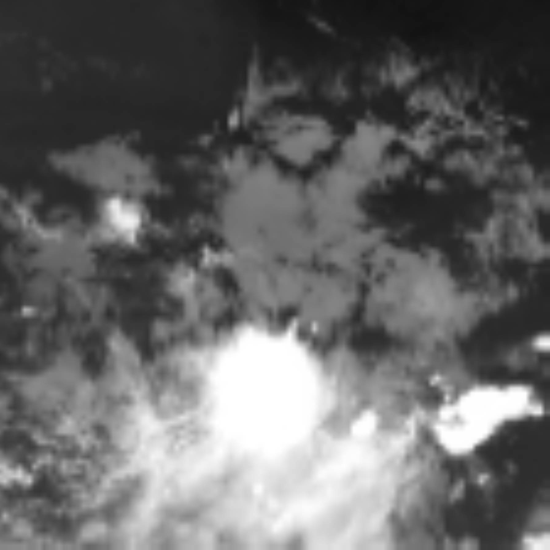 satLayer