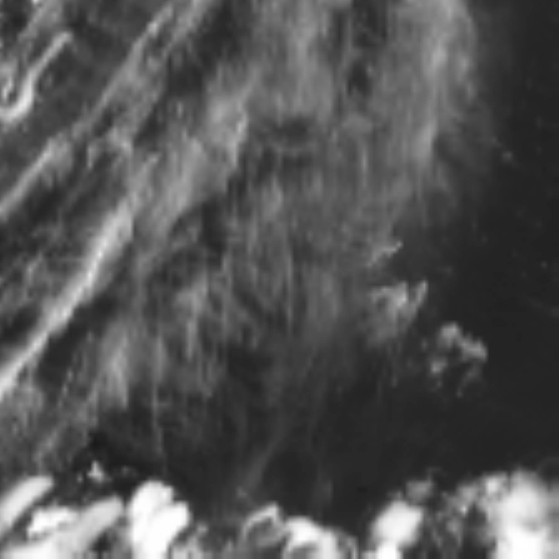 satLayer