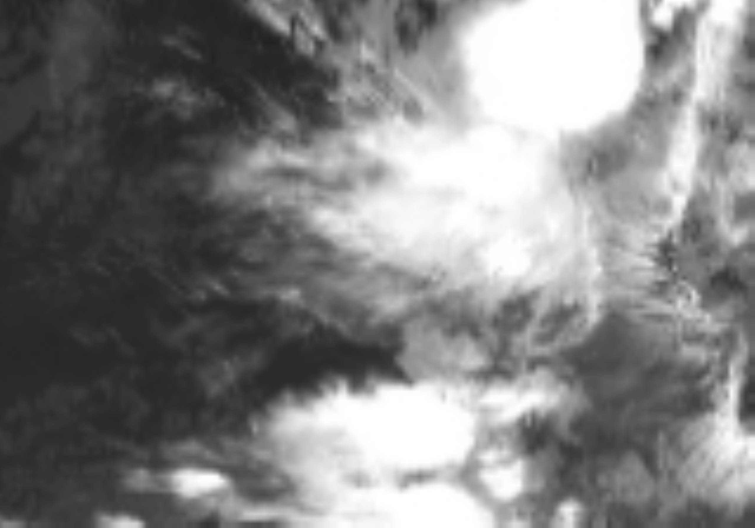 satLayer