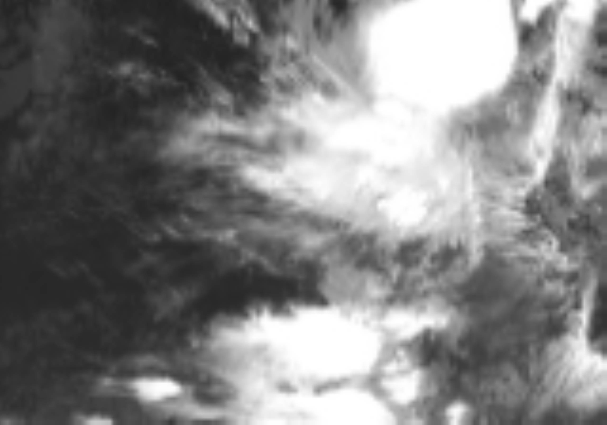 satLayer