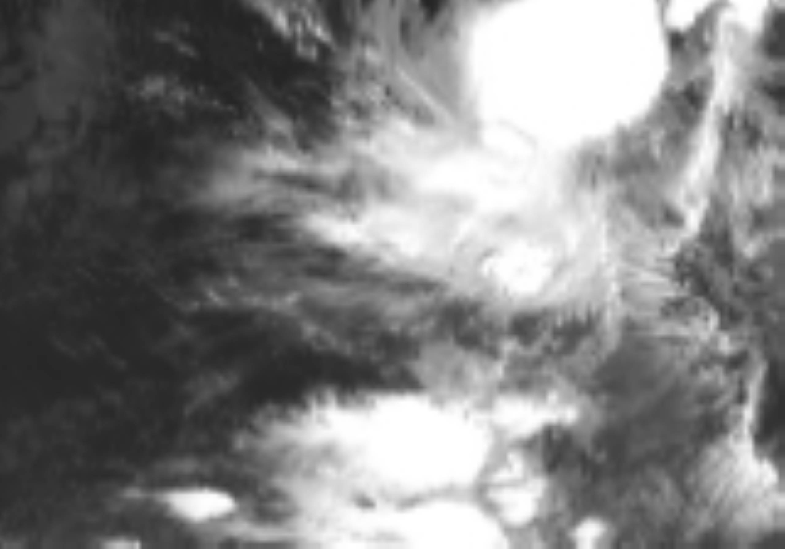 satLayer