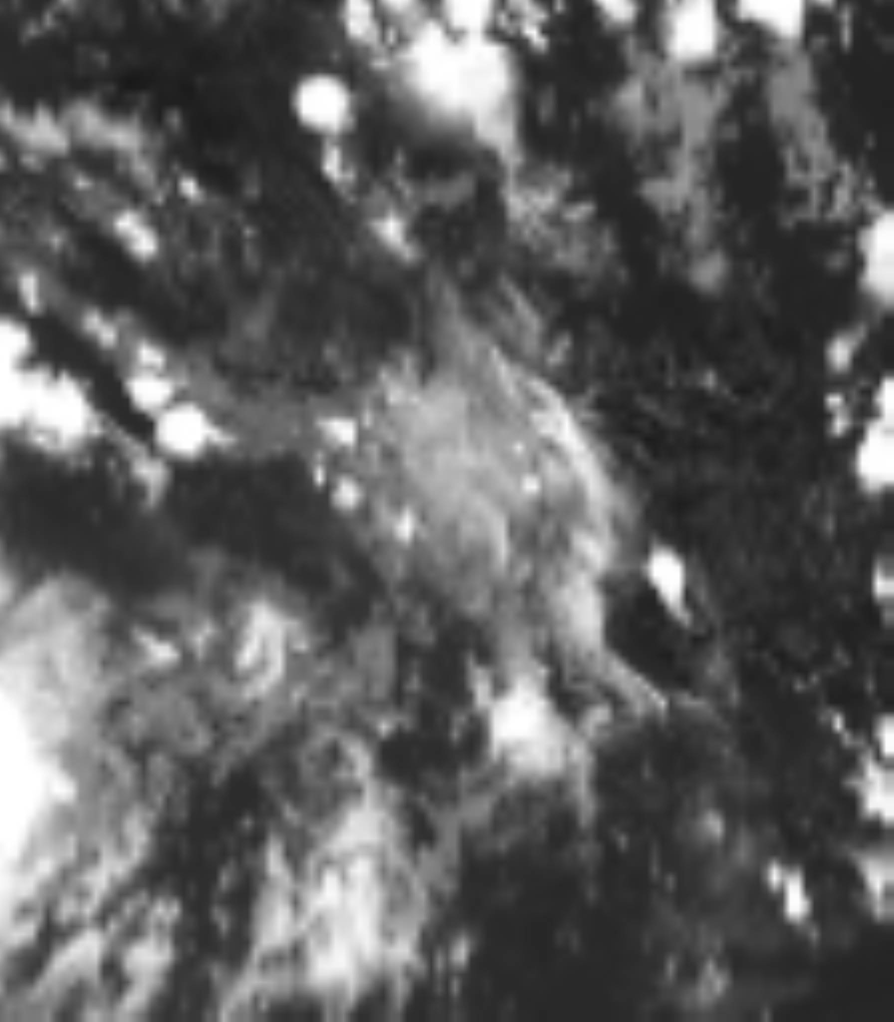 satLayer