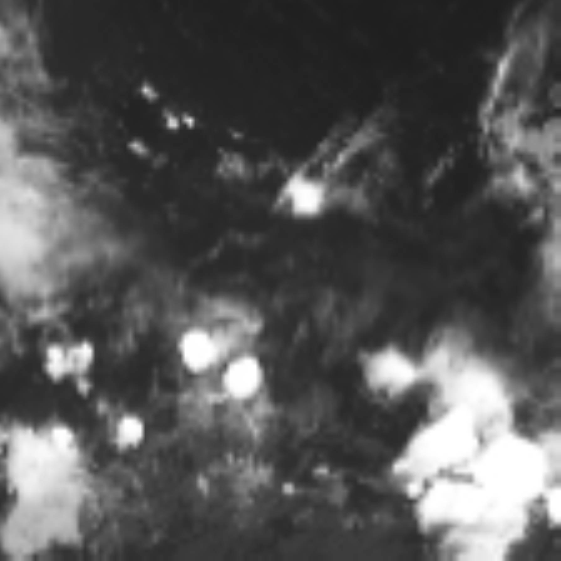 satLayer
