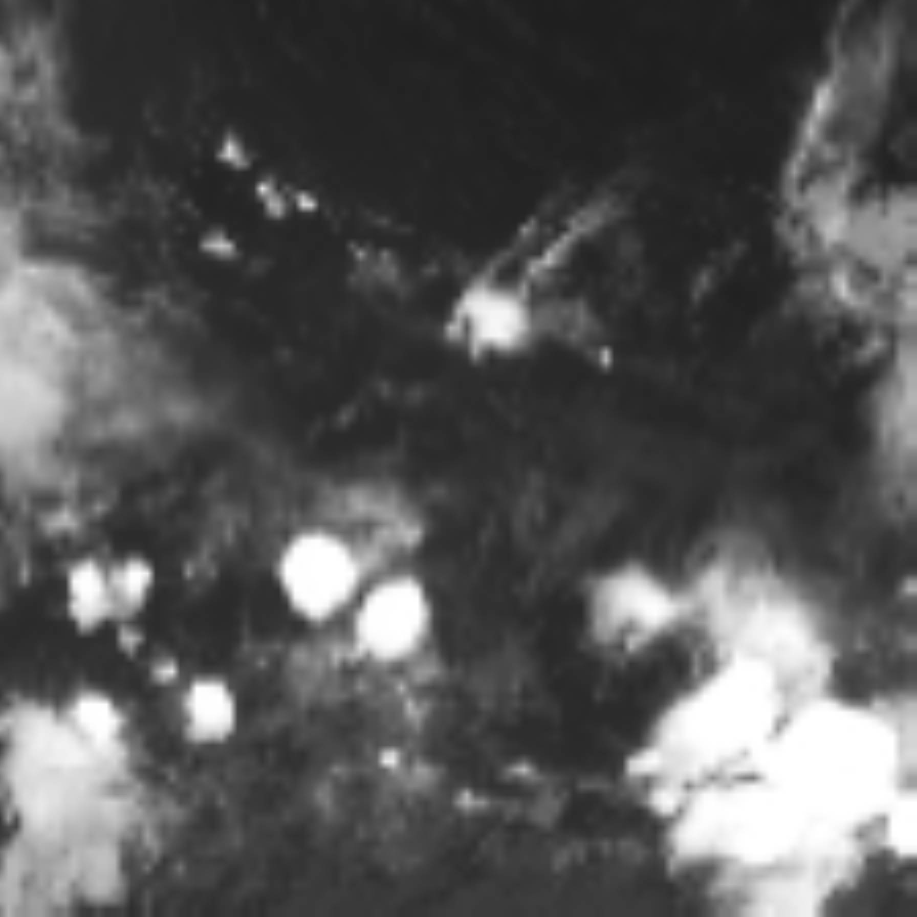 satLayer